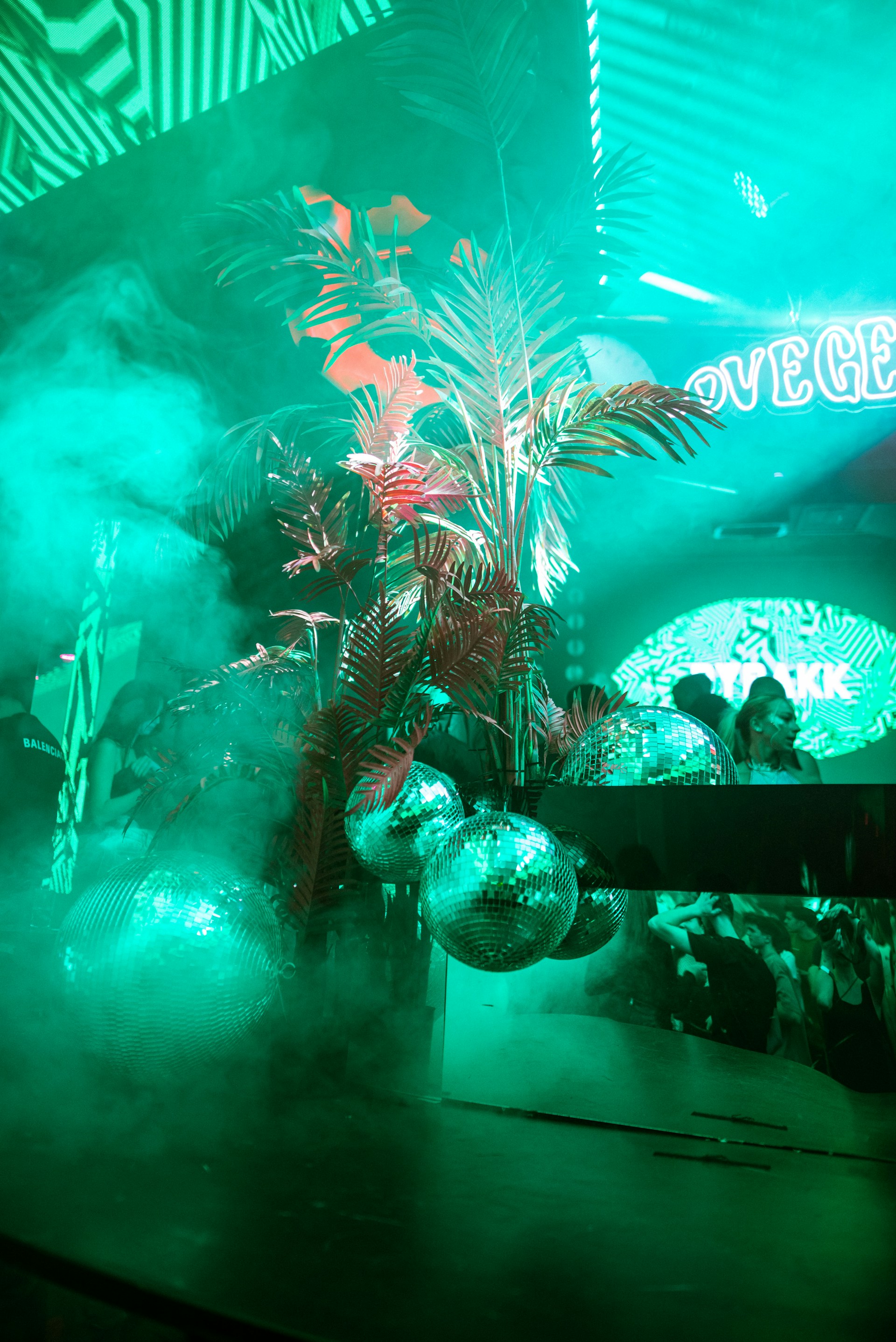 a room filled with lots of smoke and plants