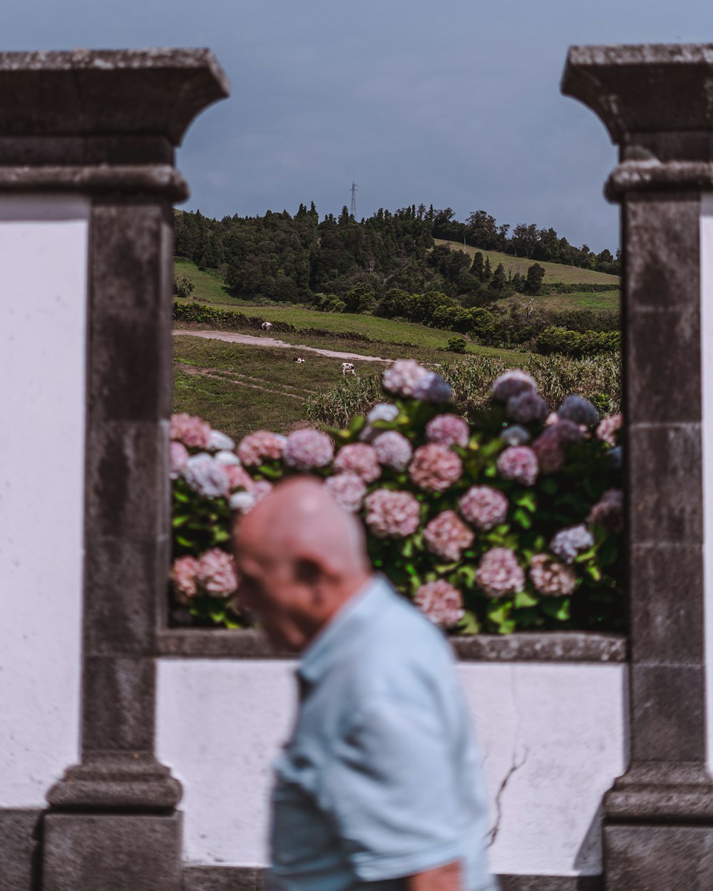 a man standing in front of a flower display