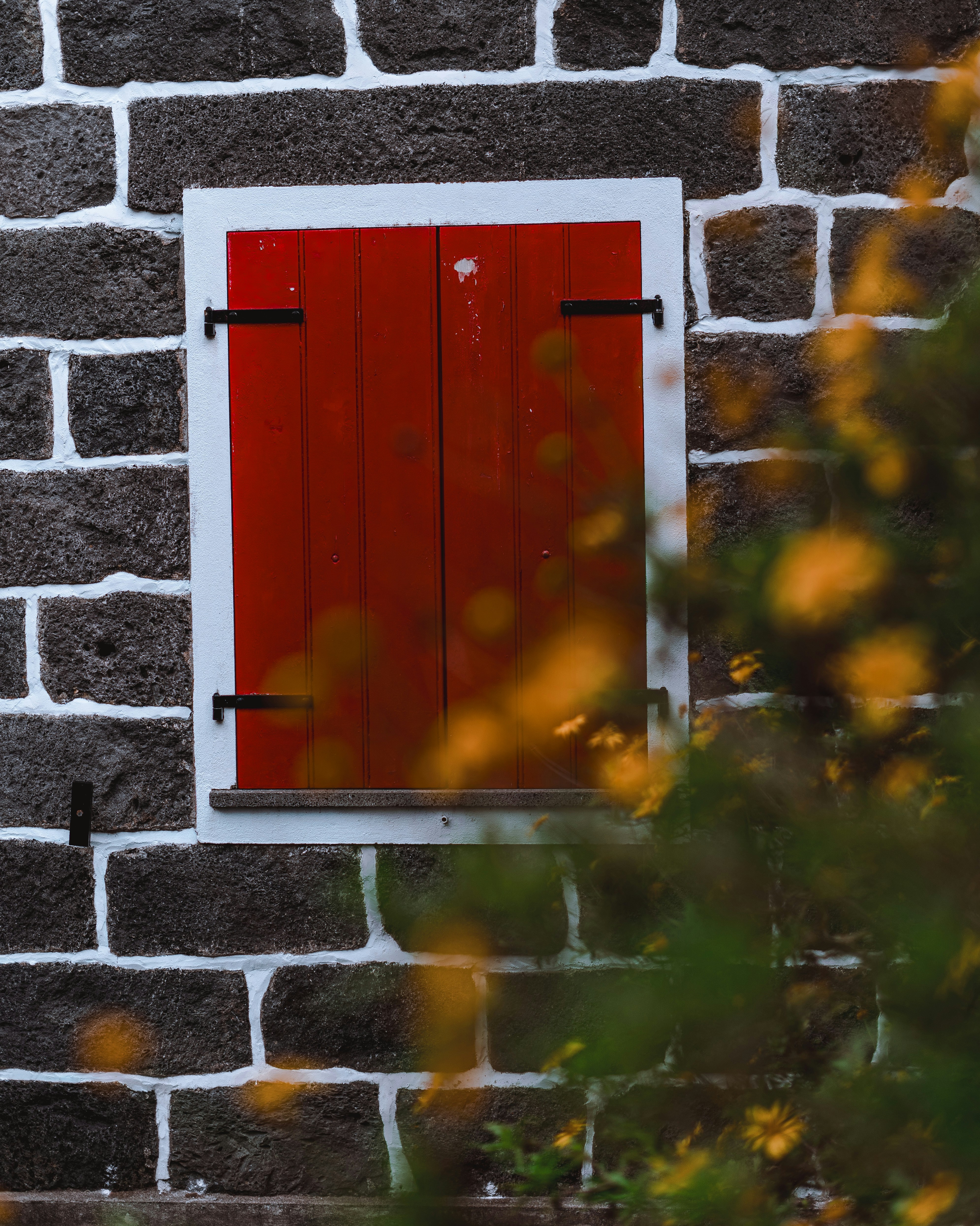 Photo by reichshadow