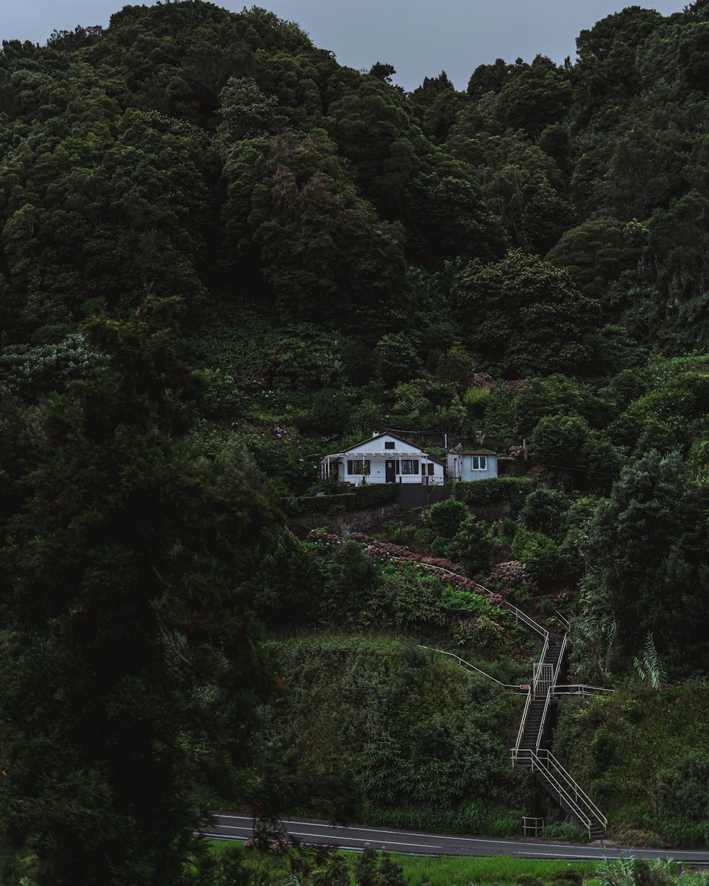 a house on a hill surrounded by trees