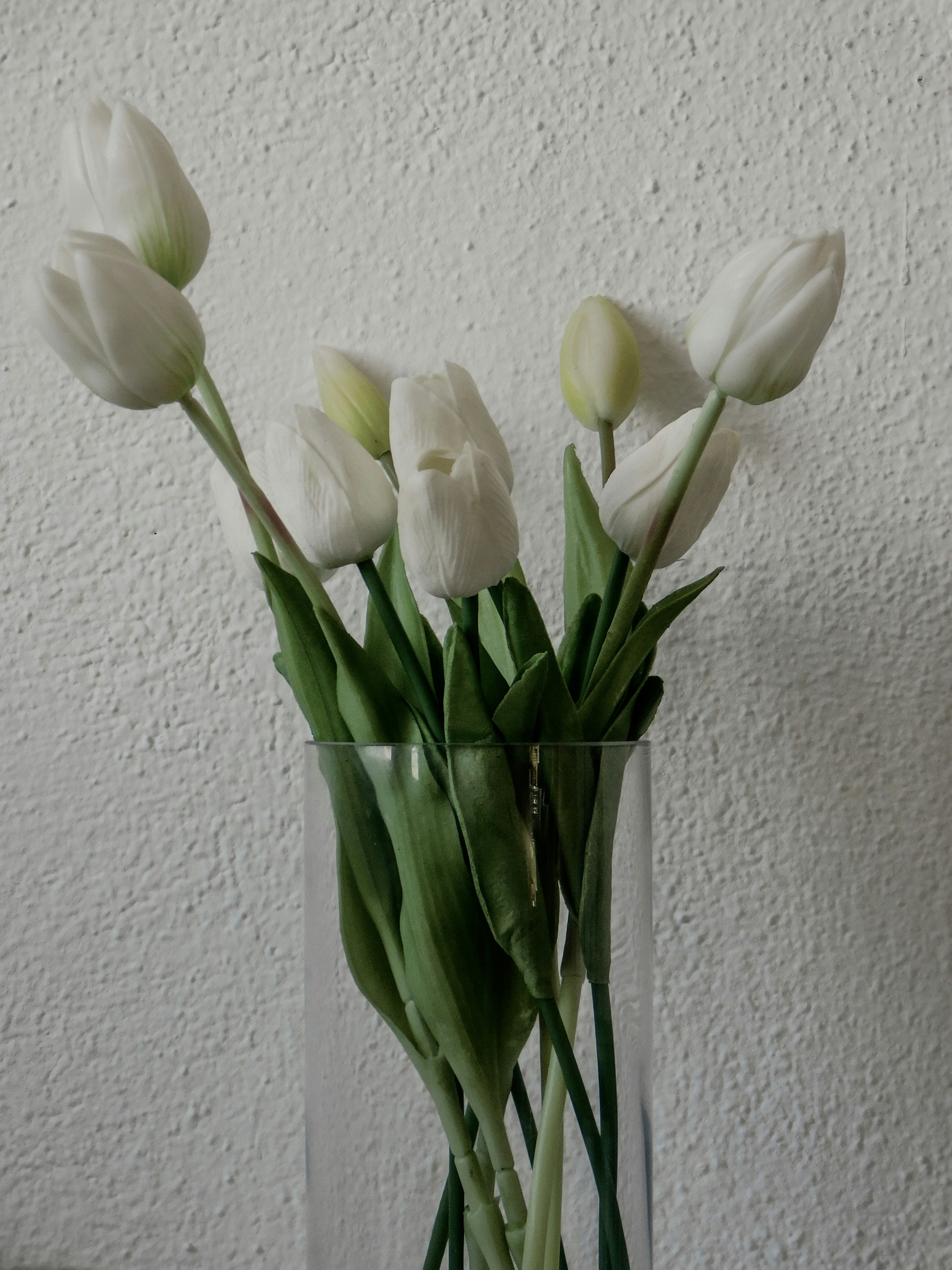 Sarajevo Roses photo 2