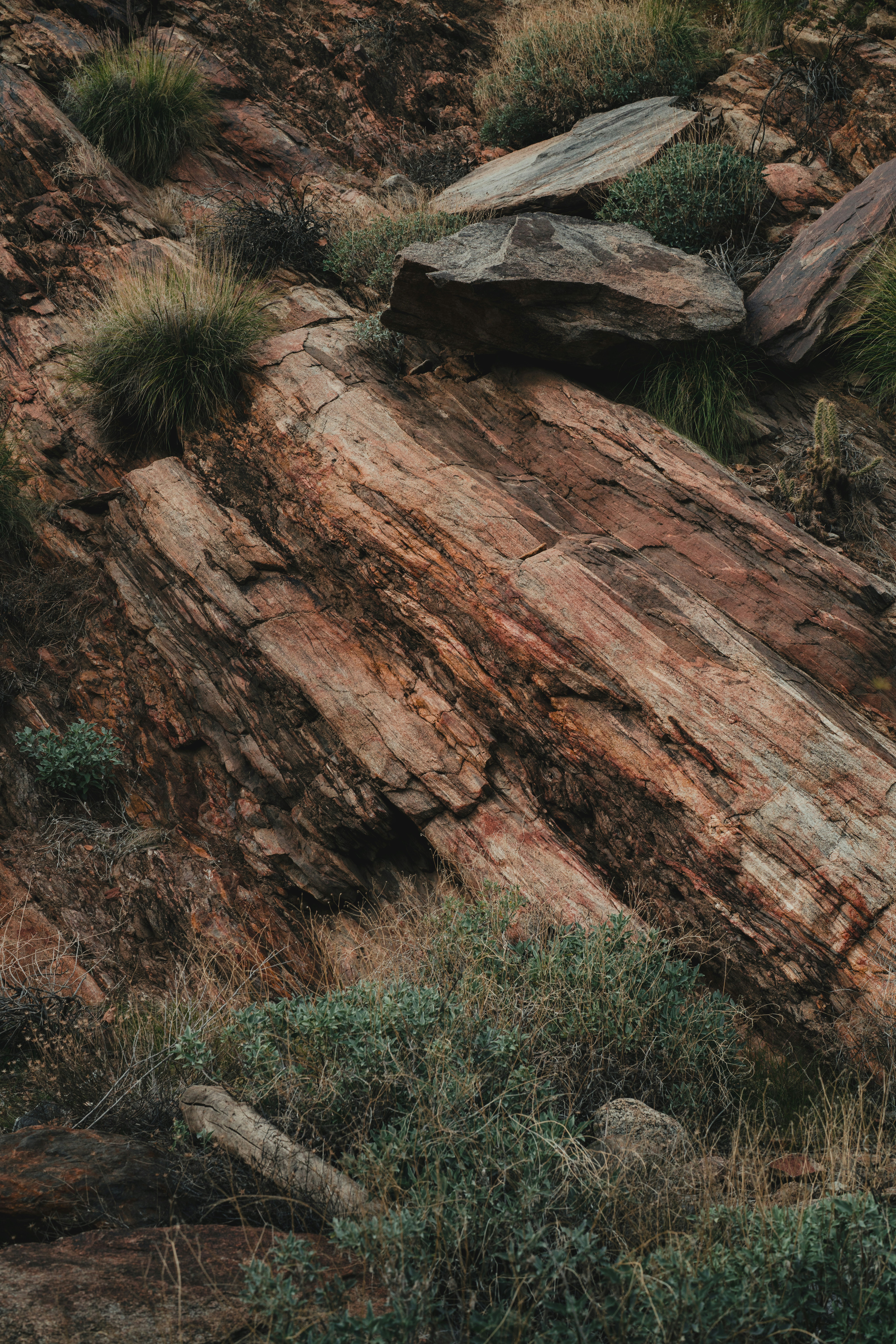 Photo by wonderhuntco