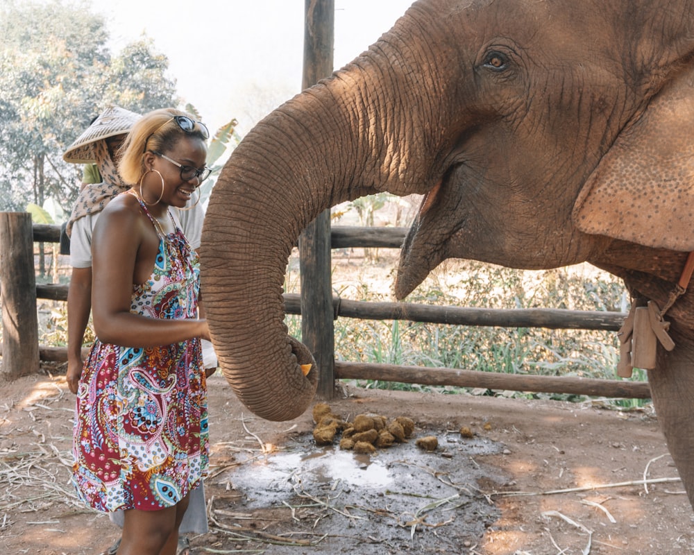 a woman feeding an elephant with her trunk