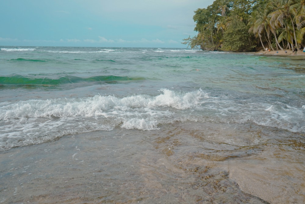 a body of water with waves coming in to shore