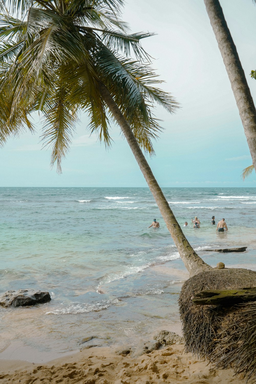 un couple de palmiers assis au sommet d’une plage