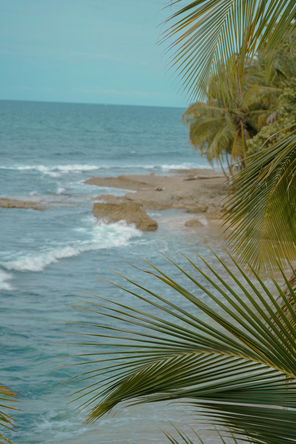 a view of the ocean from a beach with palm trees