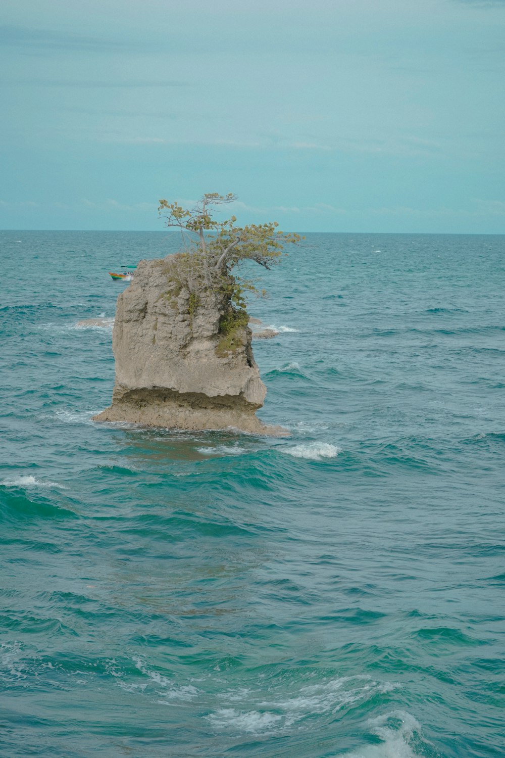 a lone tree growing on a rock in the middle of the ocean