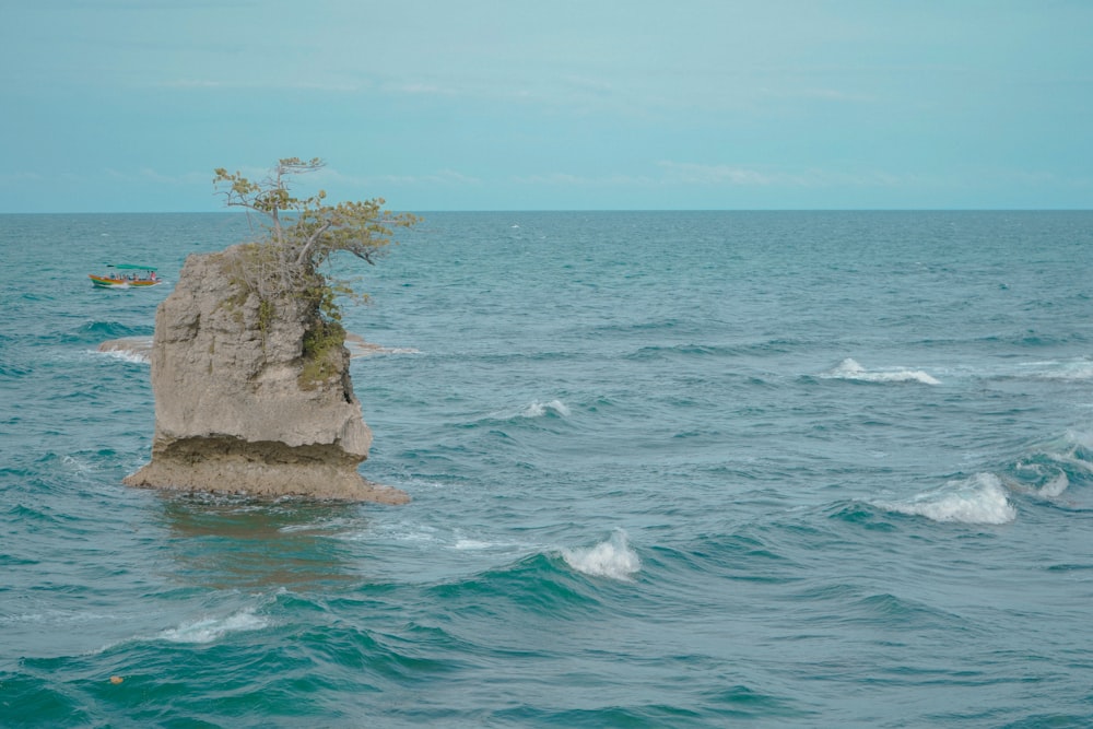 a rock sticking out of the ocean with a tree growing out of it