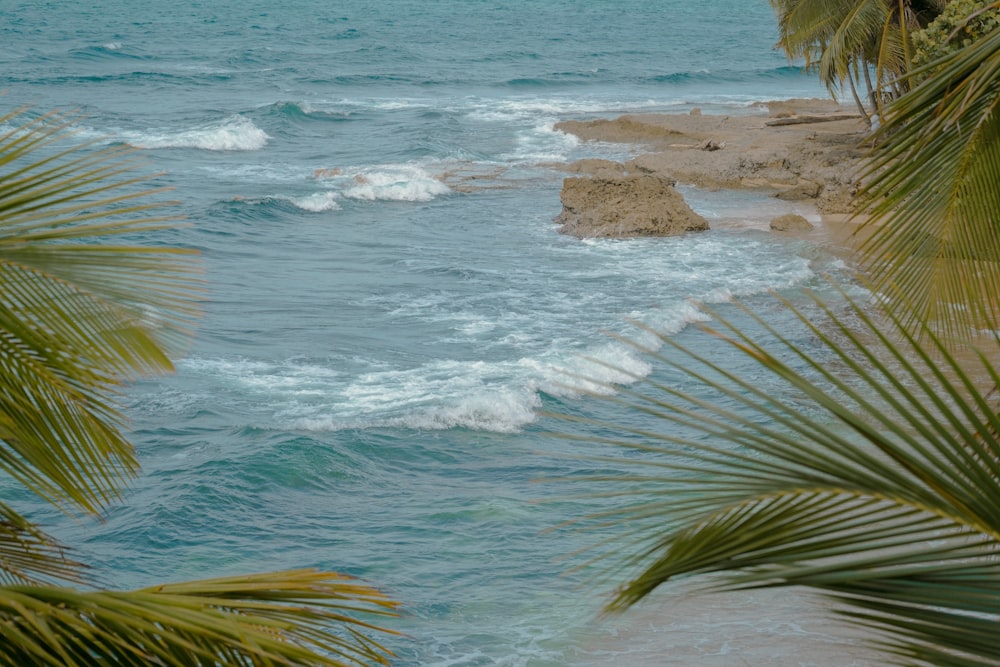 a view of the ocean from a beach with palm trees