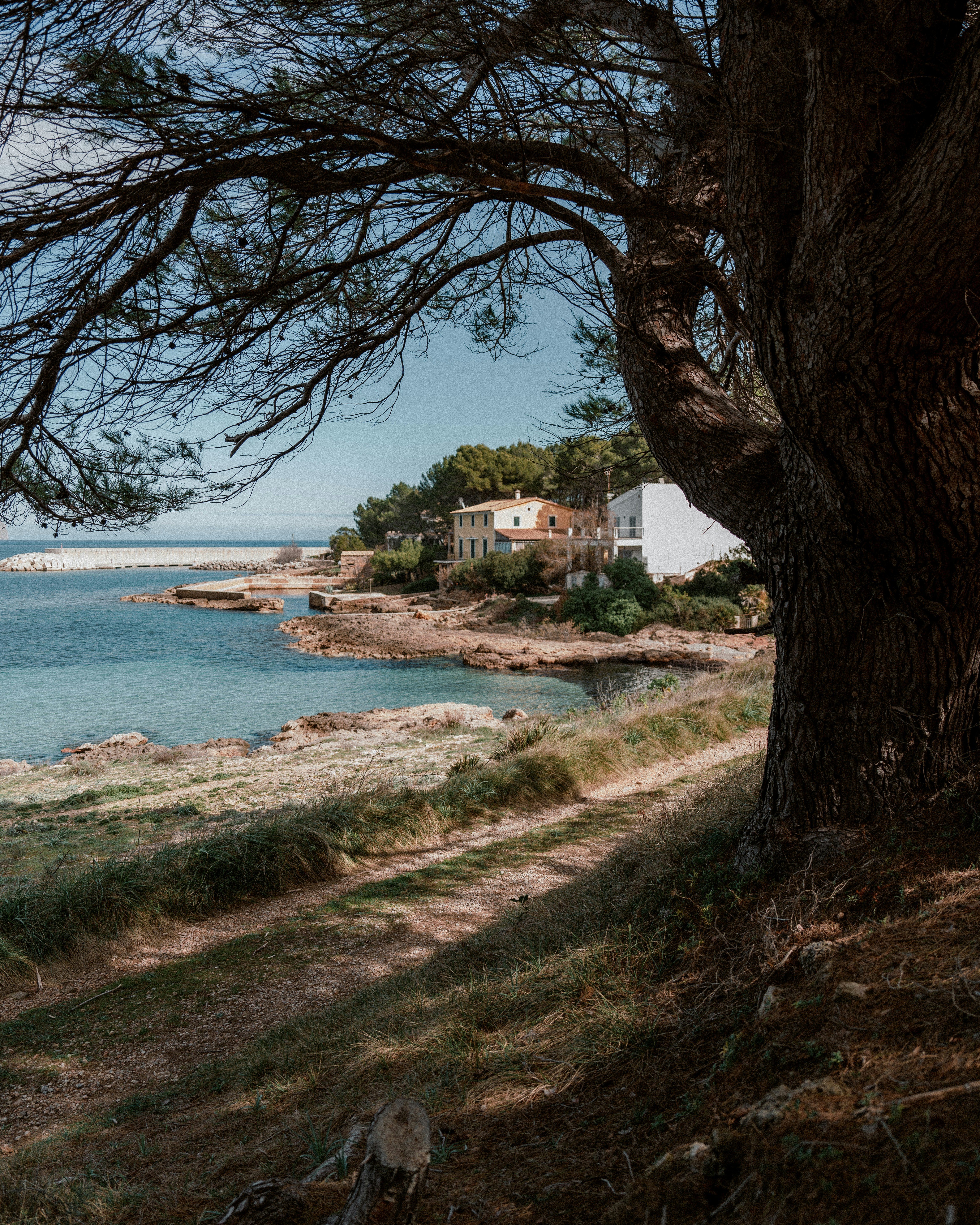 Photo by eskarstein