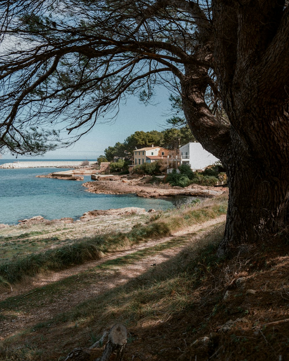 a view of a body of water with a house in the background