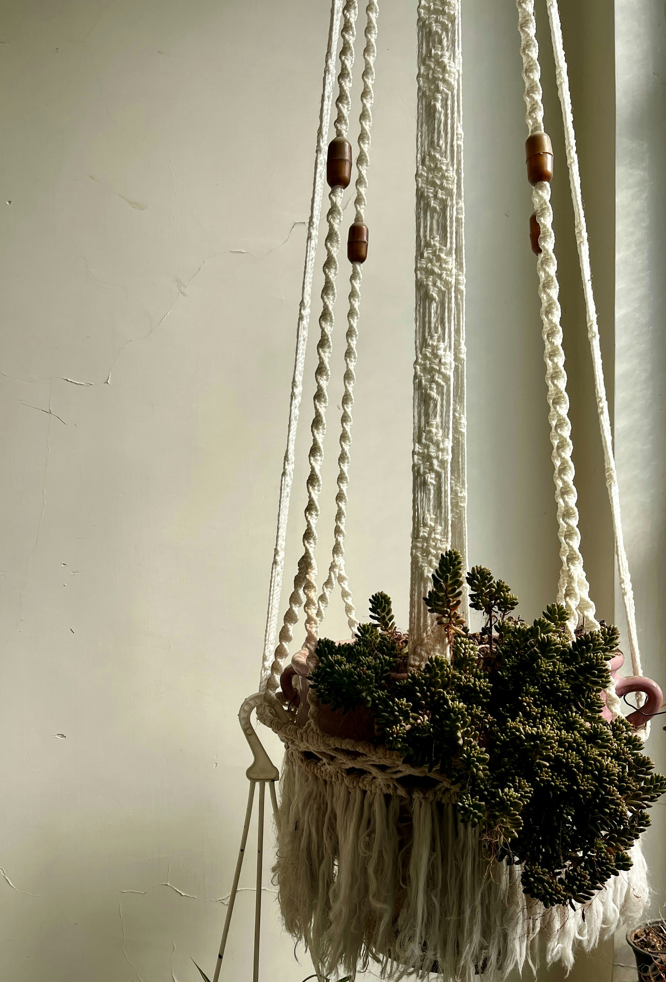 Macrame and crochet hanging plant holder with green succulent against white wall