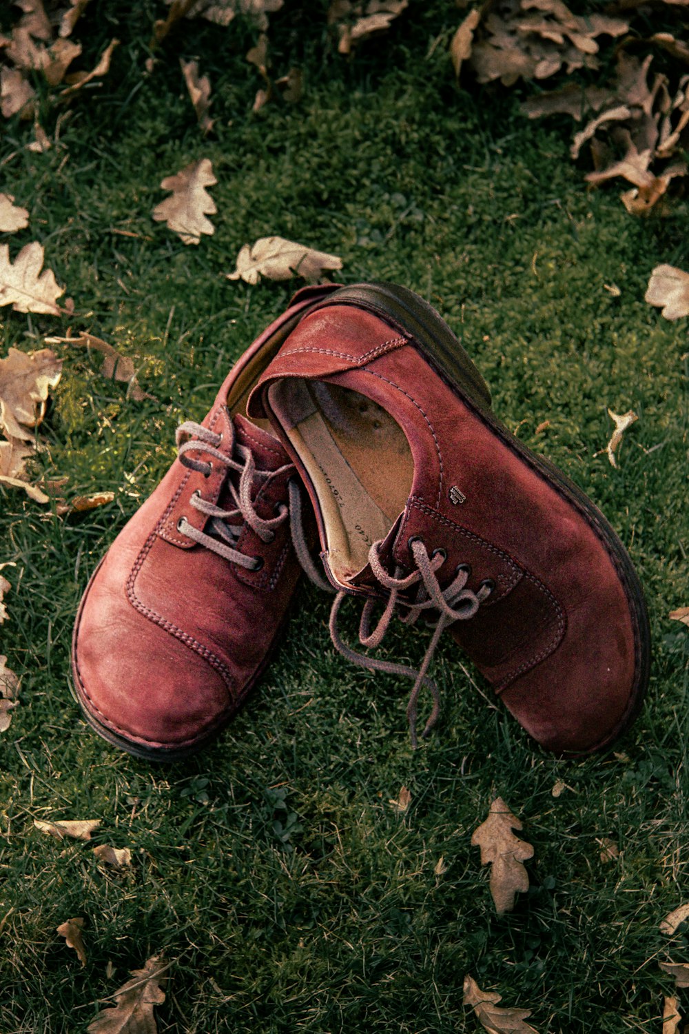 a pair of red shoes sitting on top of a lush green field