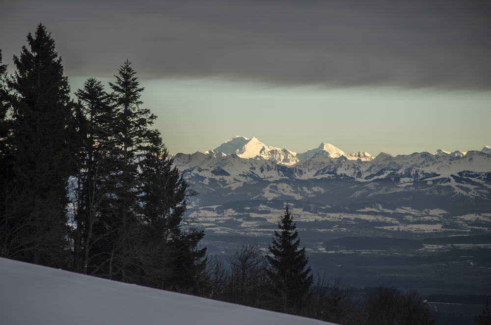 a view of a mountain range with trees in the foreground