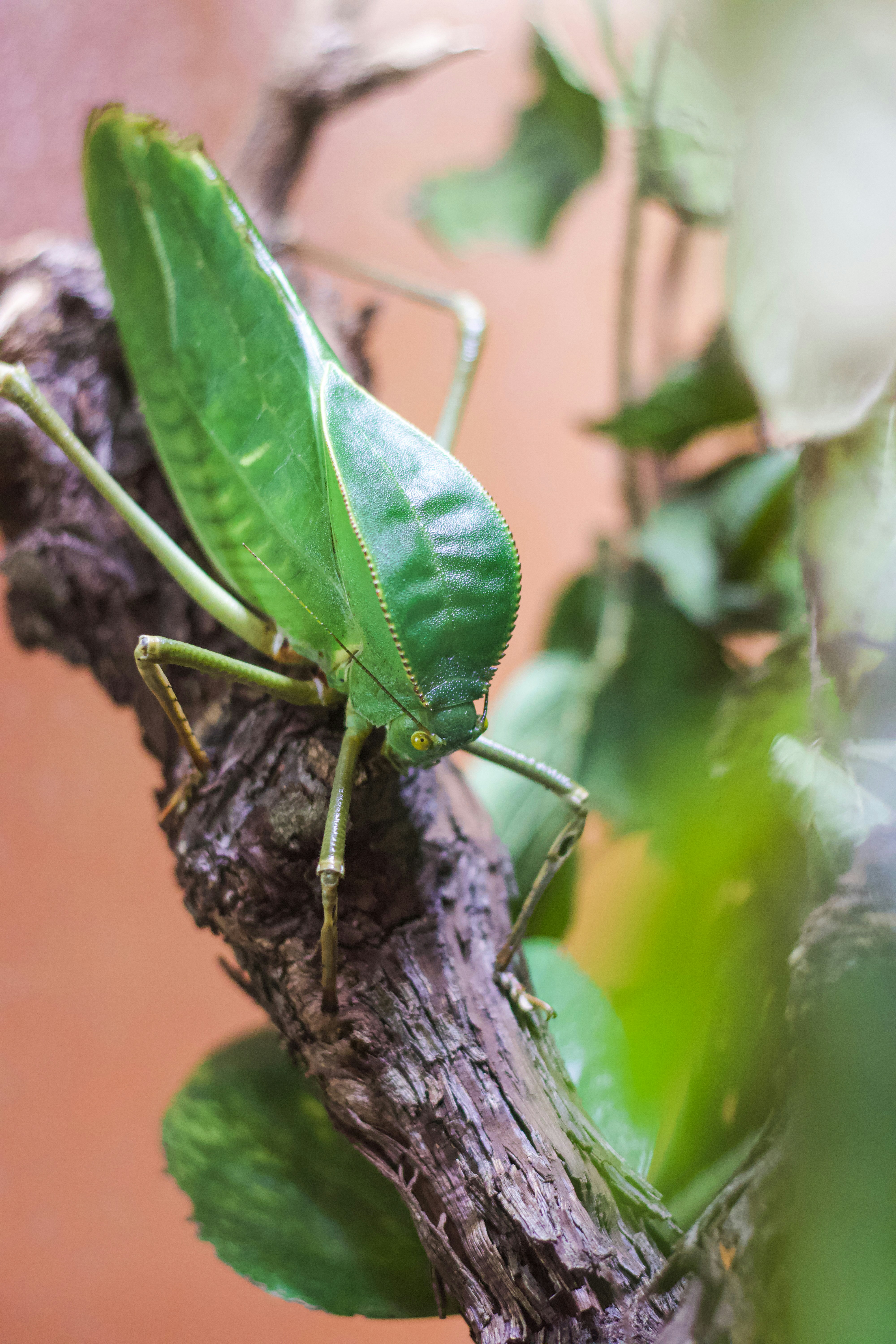 Photo by jakub_neskora