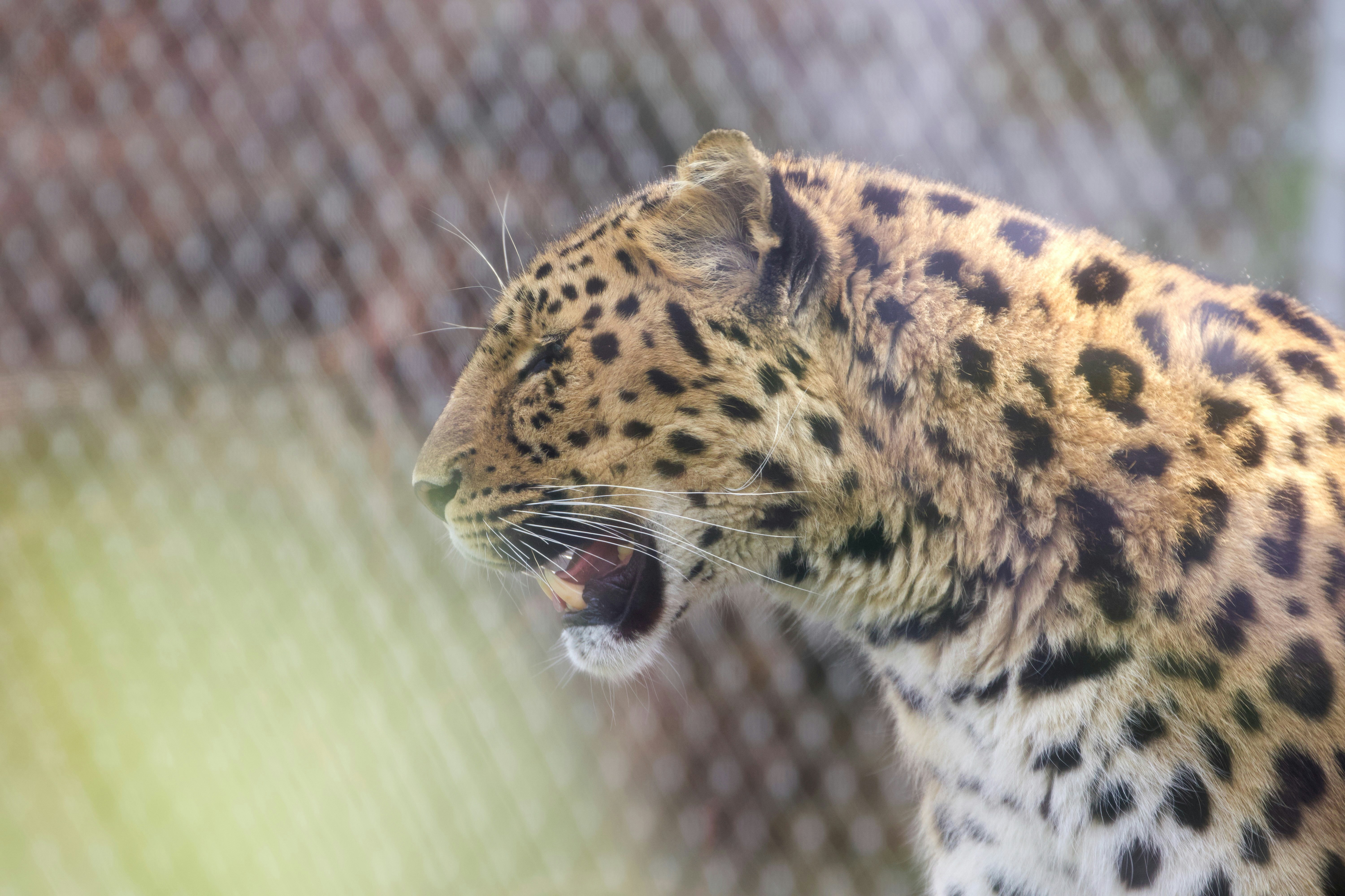 Photo by jakub_neskora