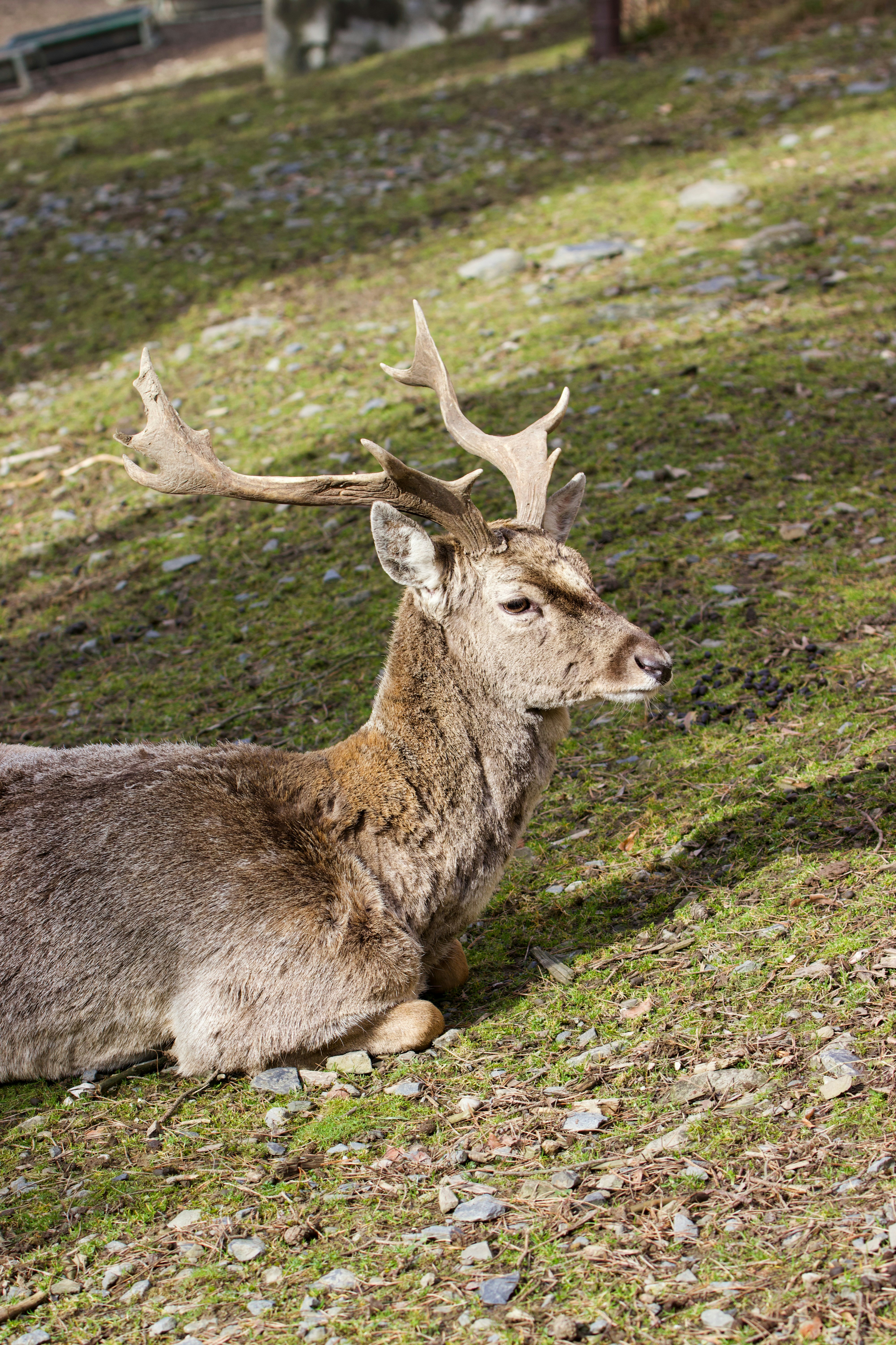 Photo by jakub_neskora