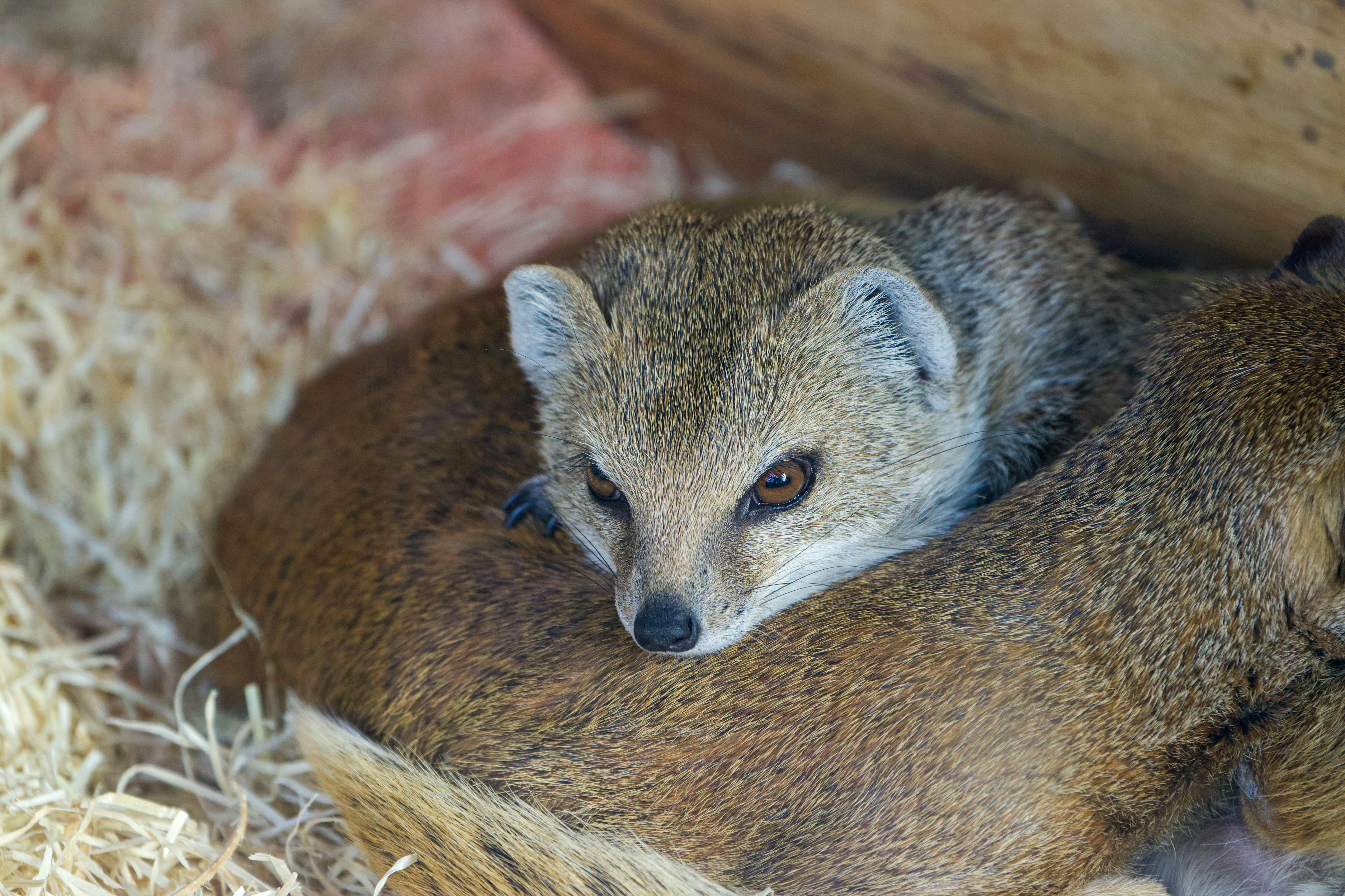 Photo by jakub_neskora