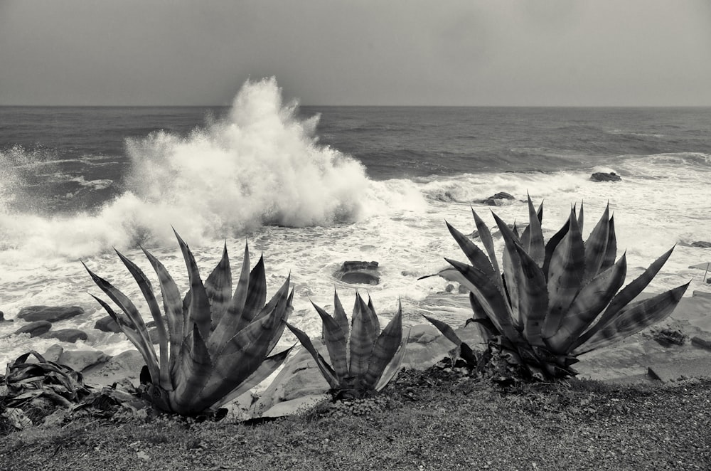 a black and white photo of a wave crashing into the ocean