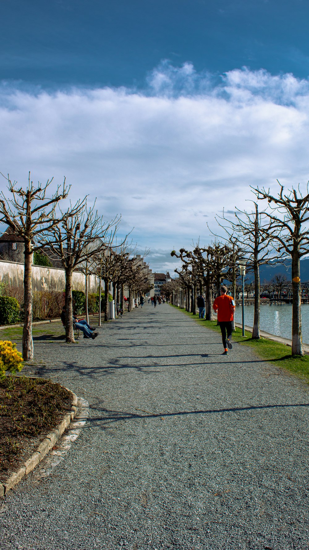 a person walking down a paved path next to a body of water