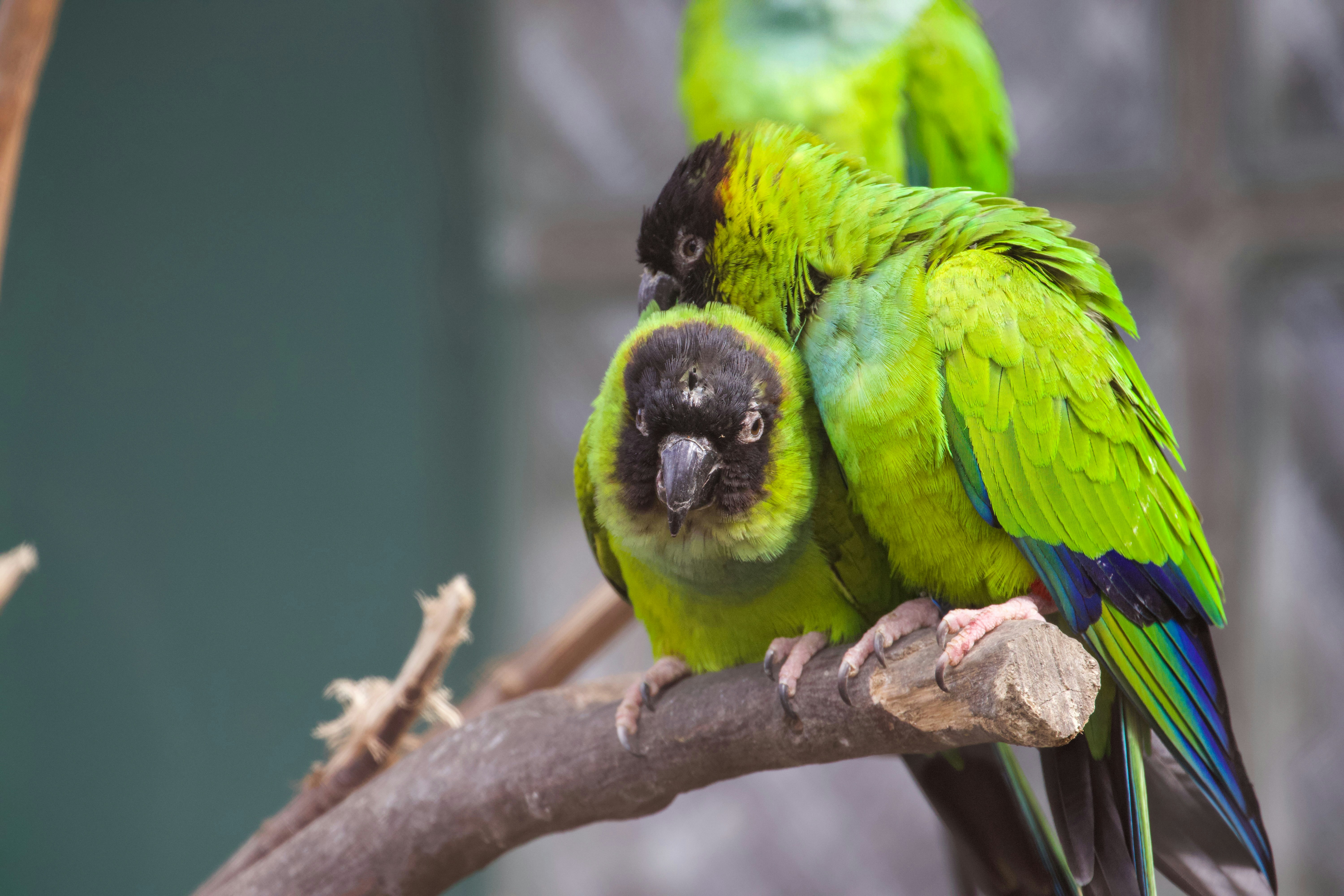 Photo by jakub_neskora