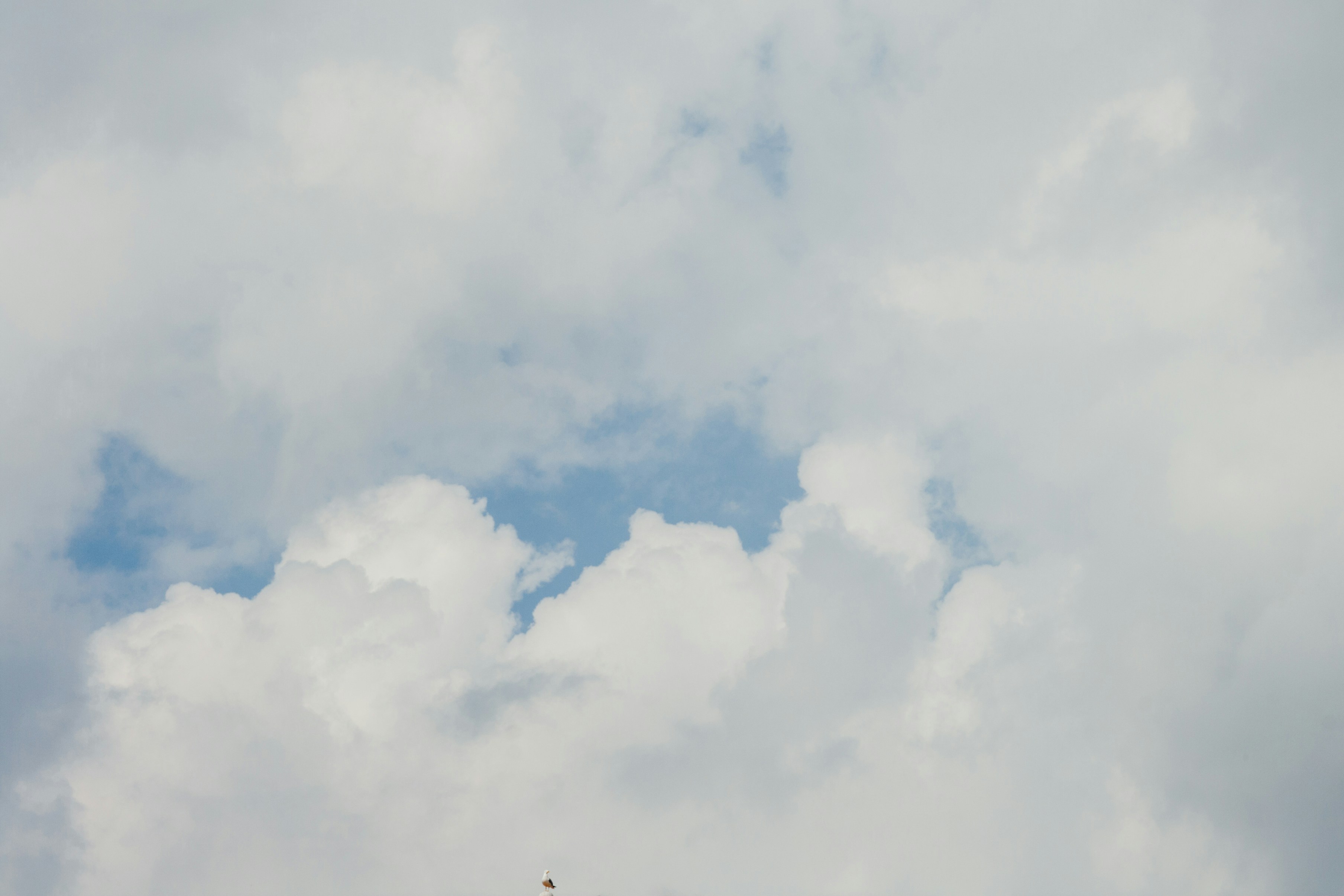 Photo by gloriaviktoriia