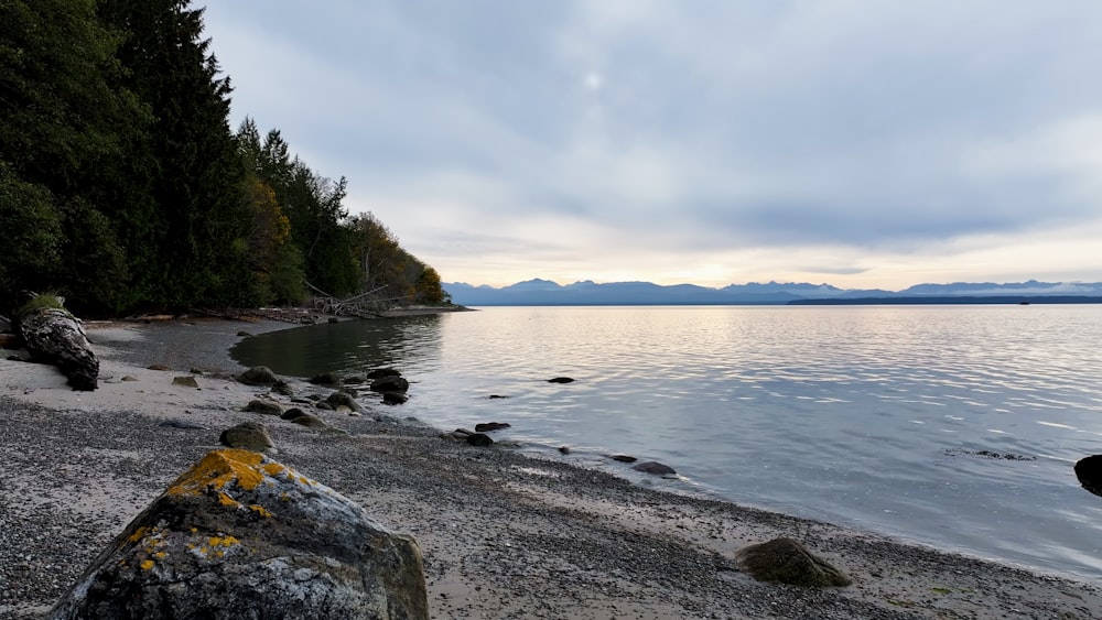 a view of a beach with rocks and water