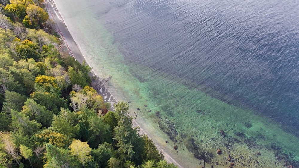 an aerial view of a beach and trees