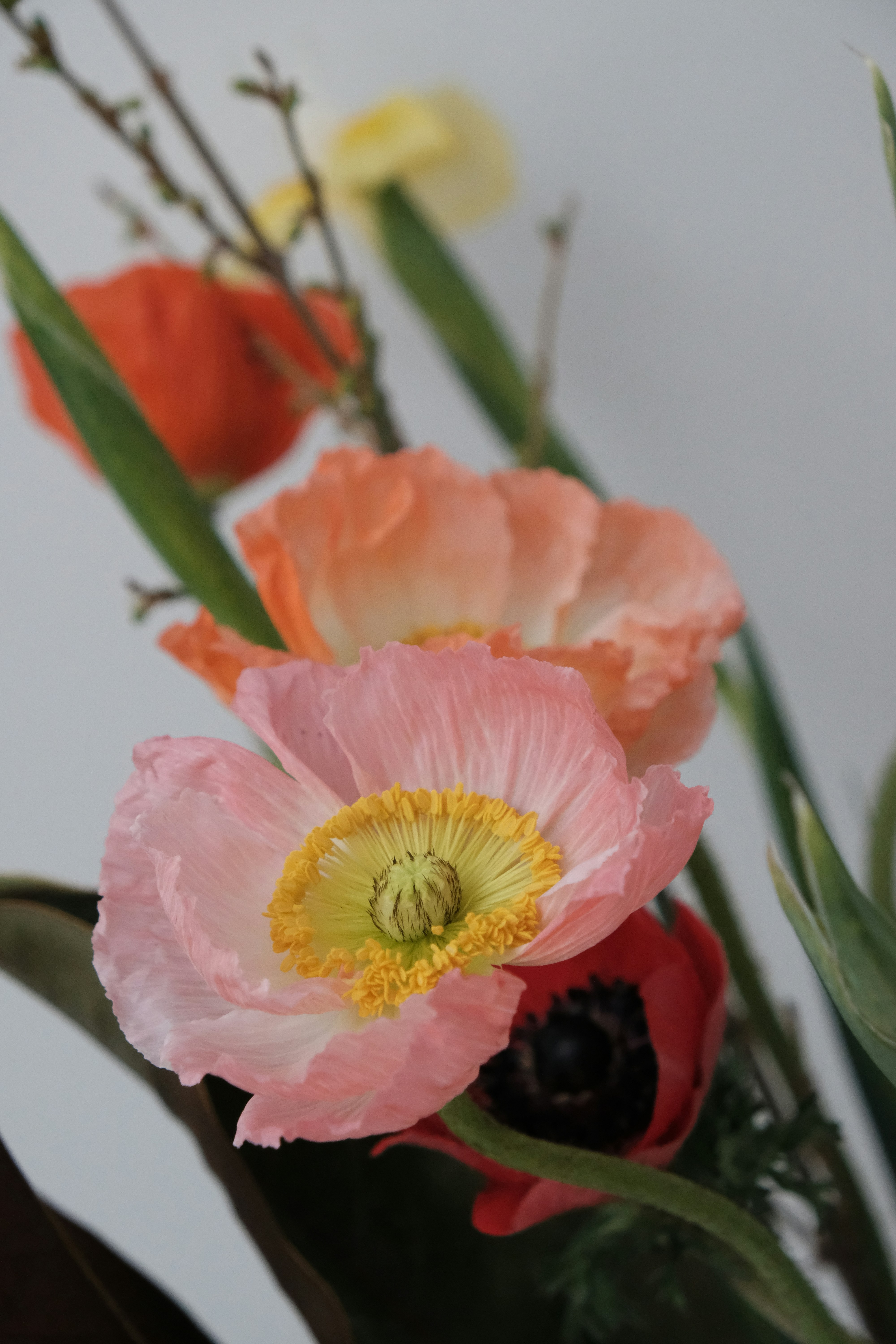 Photo by 1point58girl