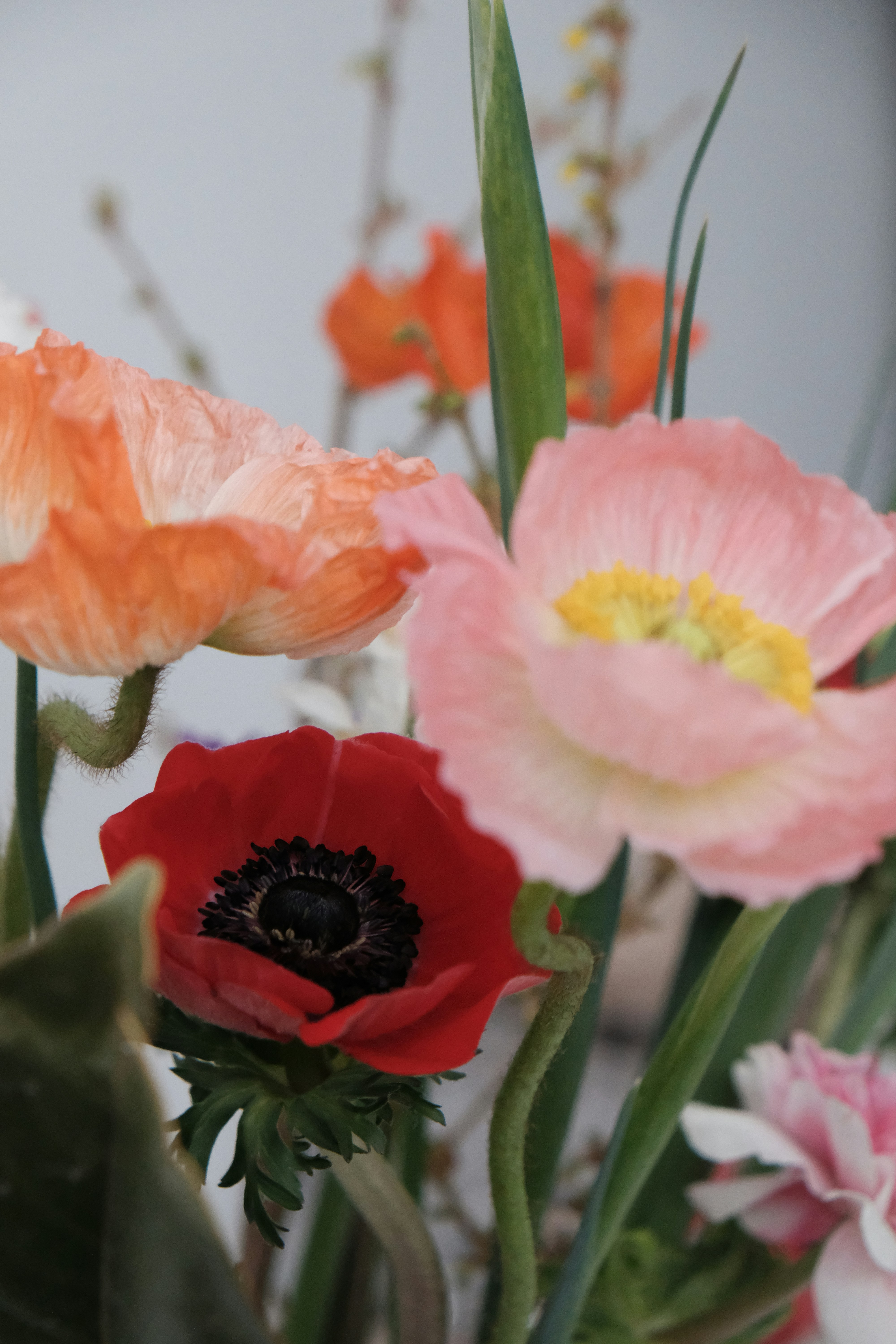 a bunch of flowers that are in a vase