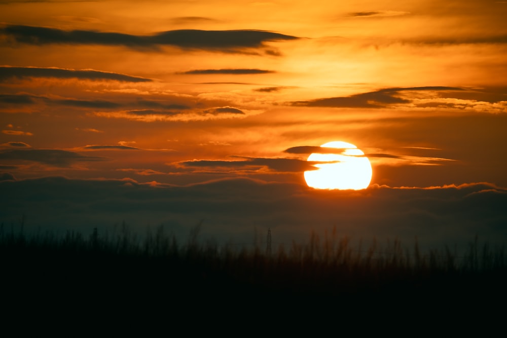 the sun is setting over a field of tall grass