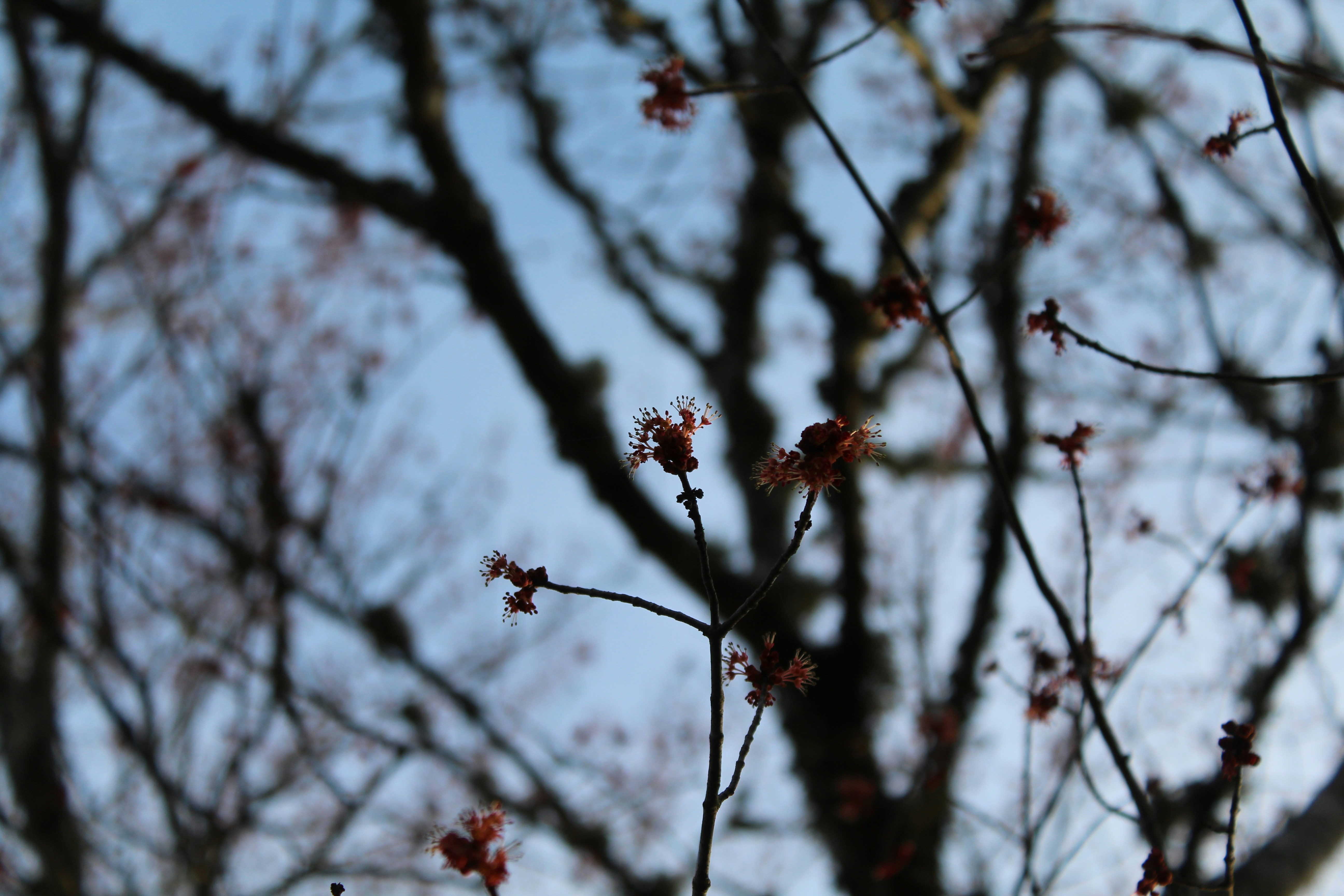 Photo by laura_borman