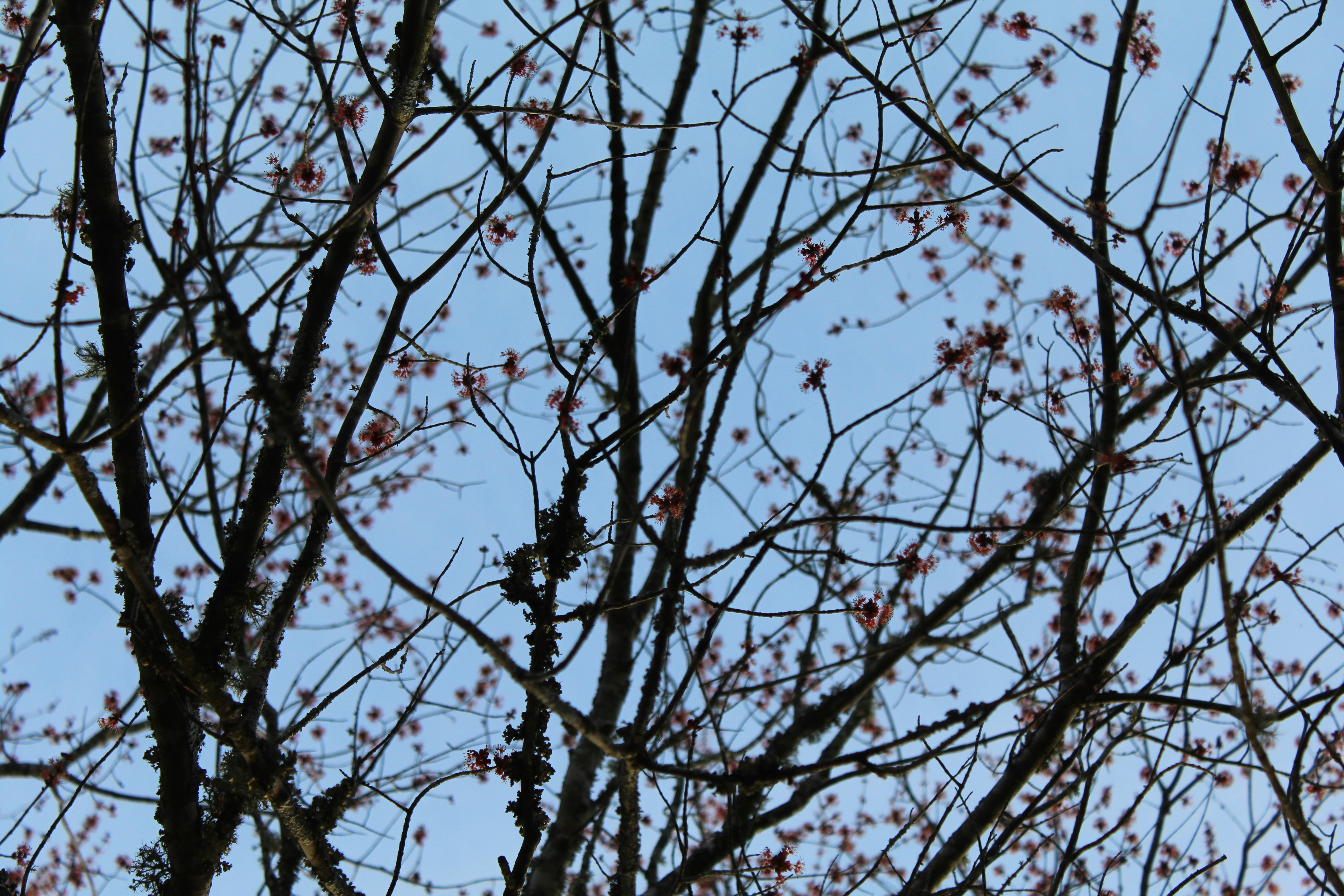 Photo by laura_borman