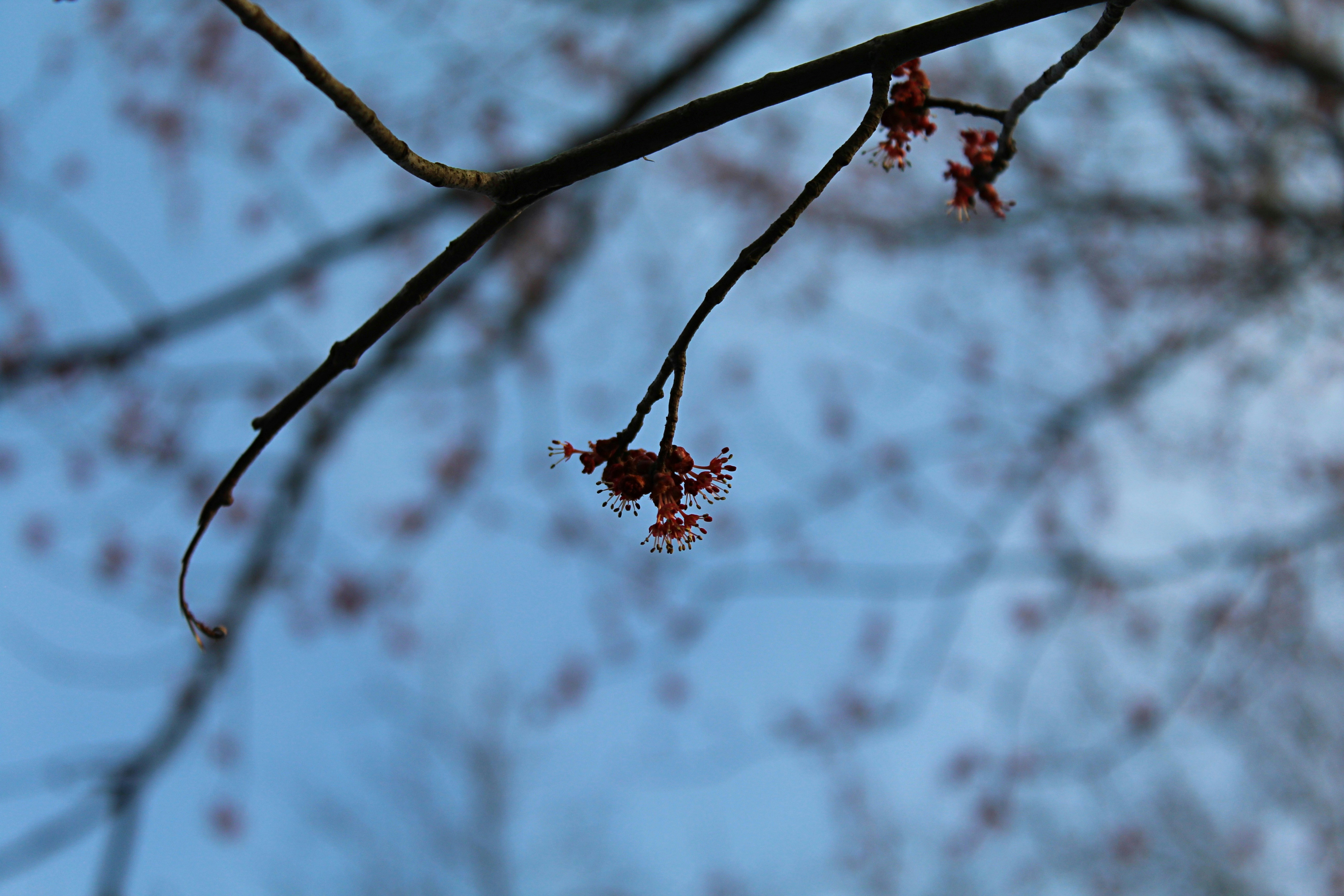 Photo by laura_borman