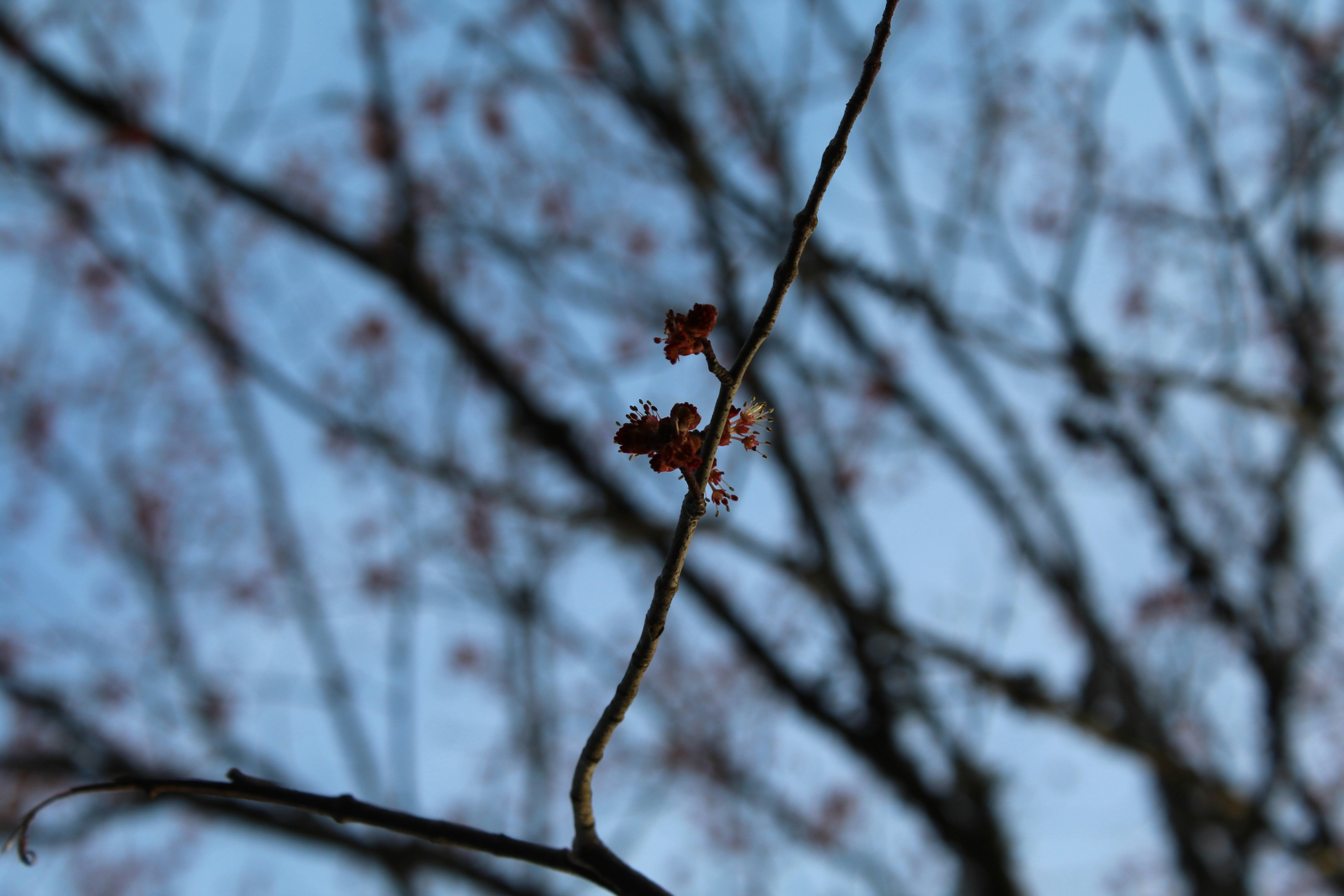 Photo by laura_borman