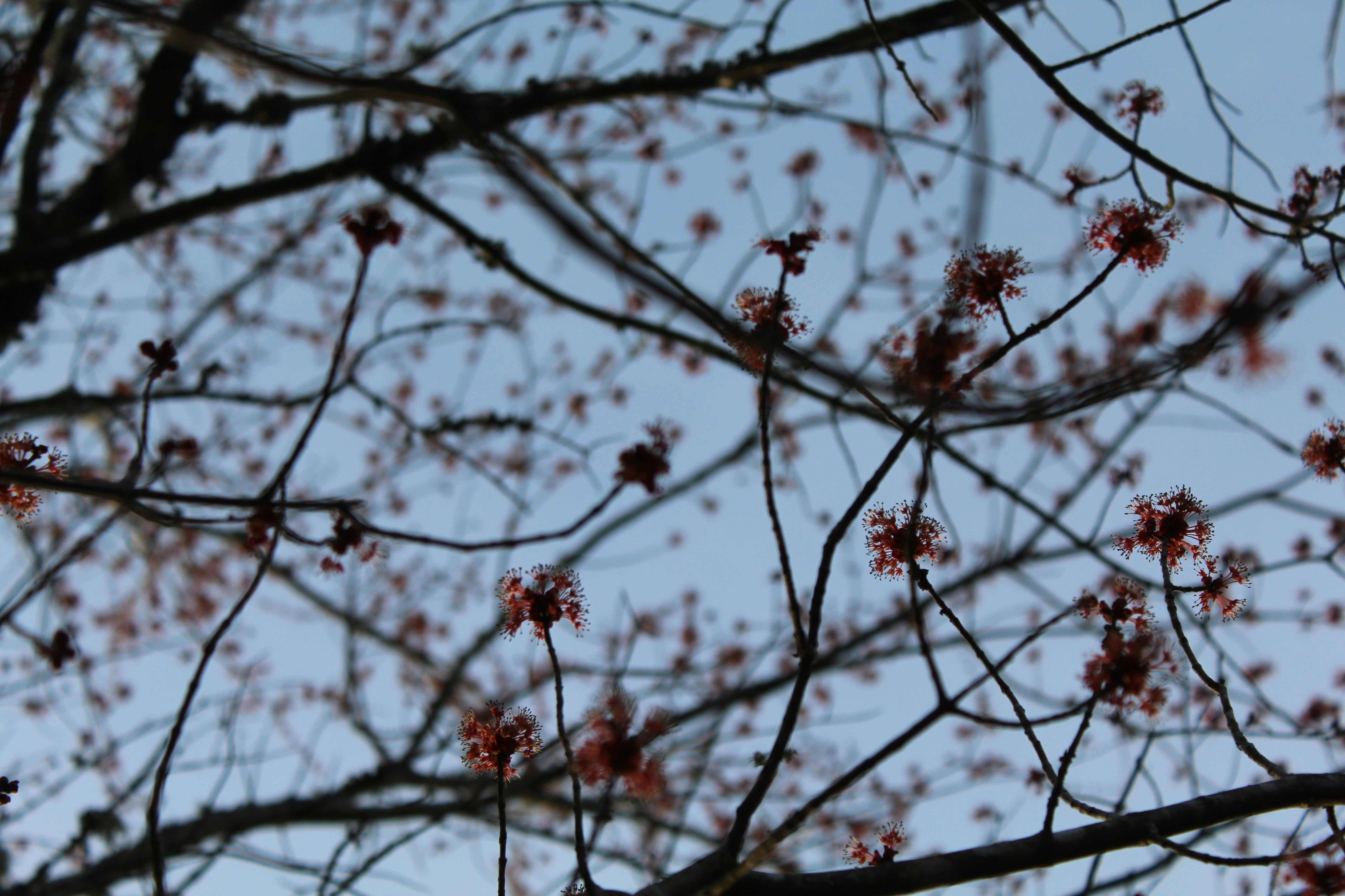 Photo by laura_borman