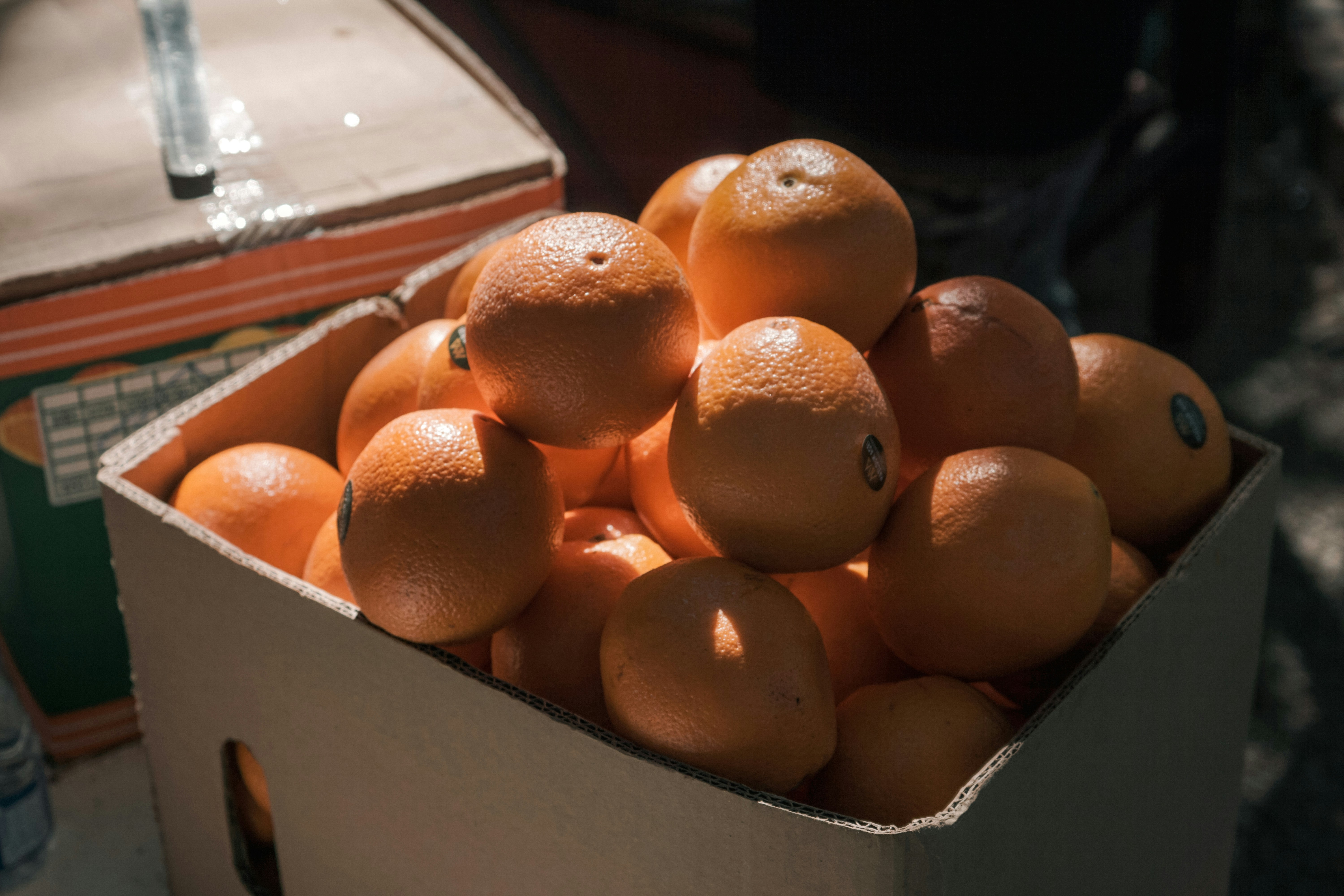 Photo by aseprendi12 on Unsplash