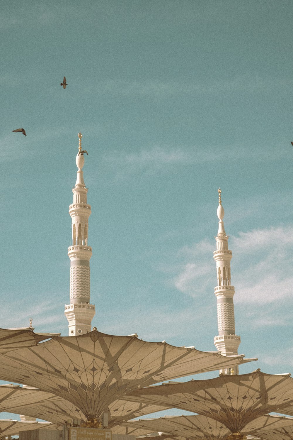 a group of birds flying over a white building