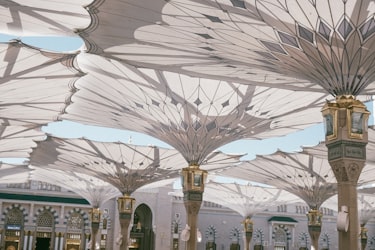 Zaha Hadid's 'Desert Bloom' Opens, Blending Tech and Tradition