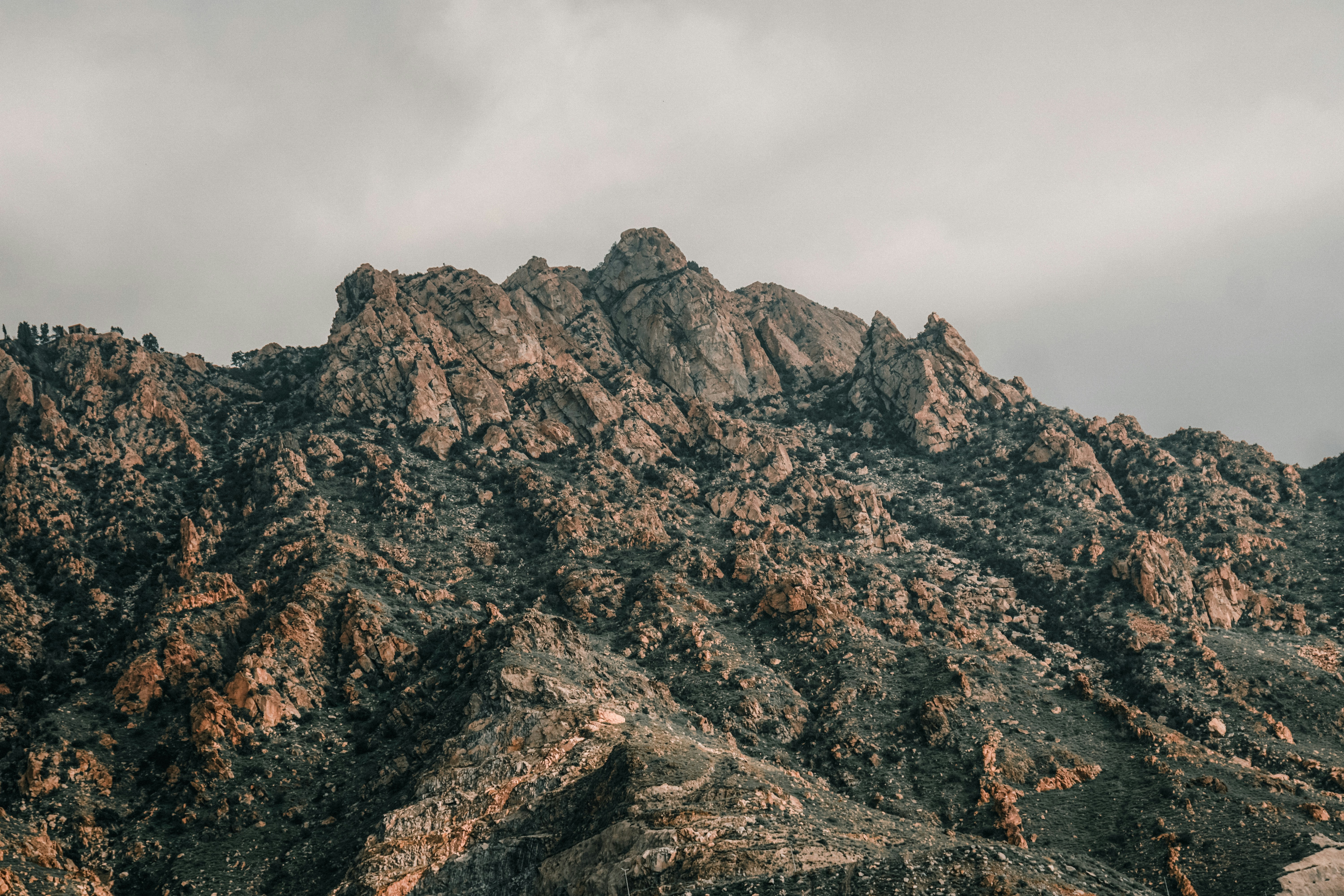 Photo by aseprendi12