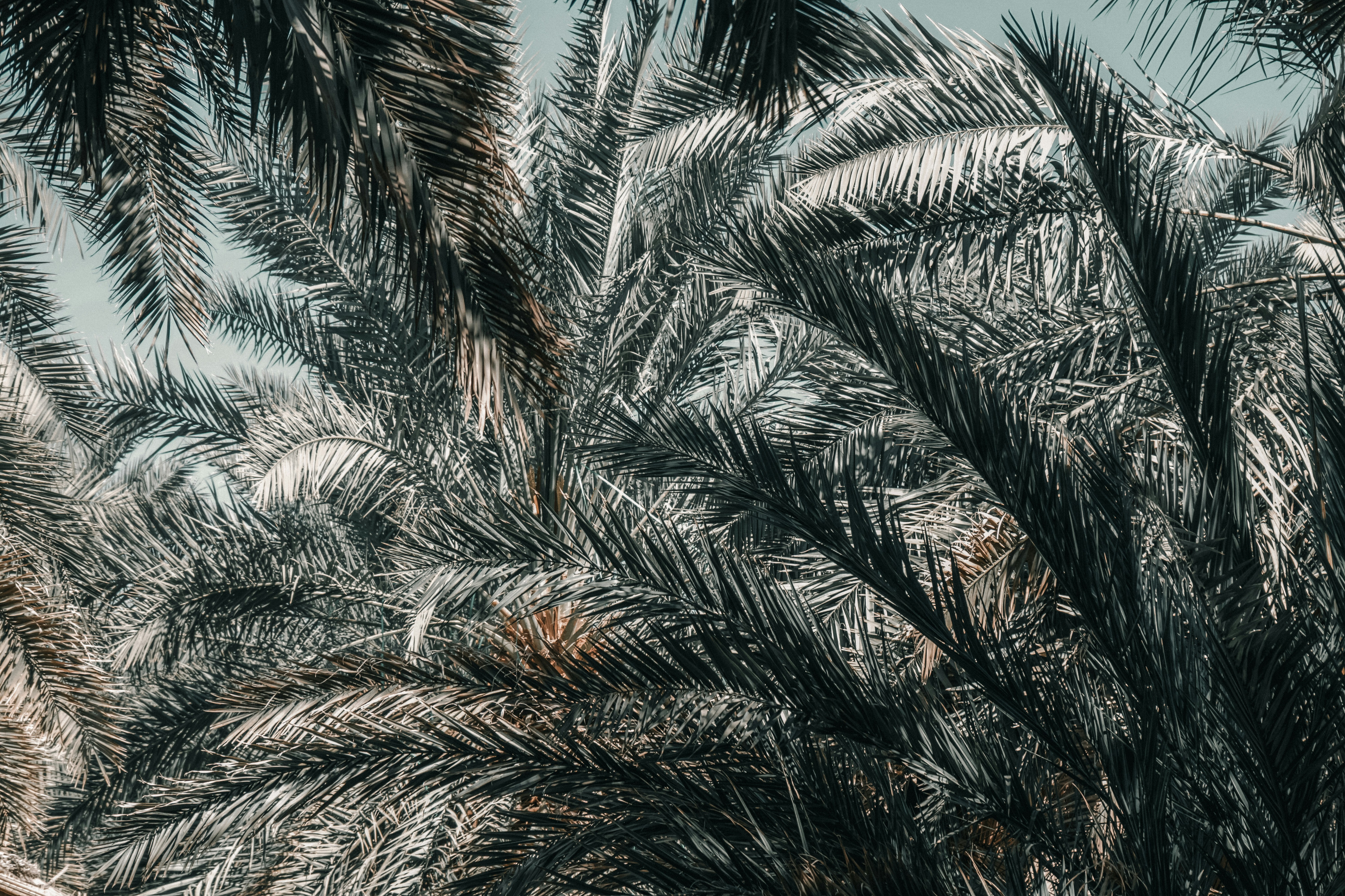 Photo by aseprendi12