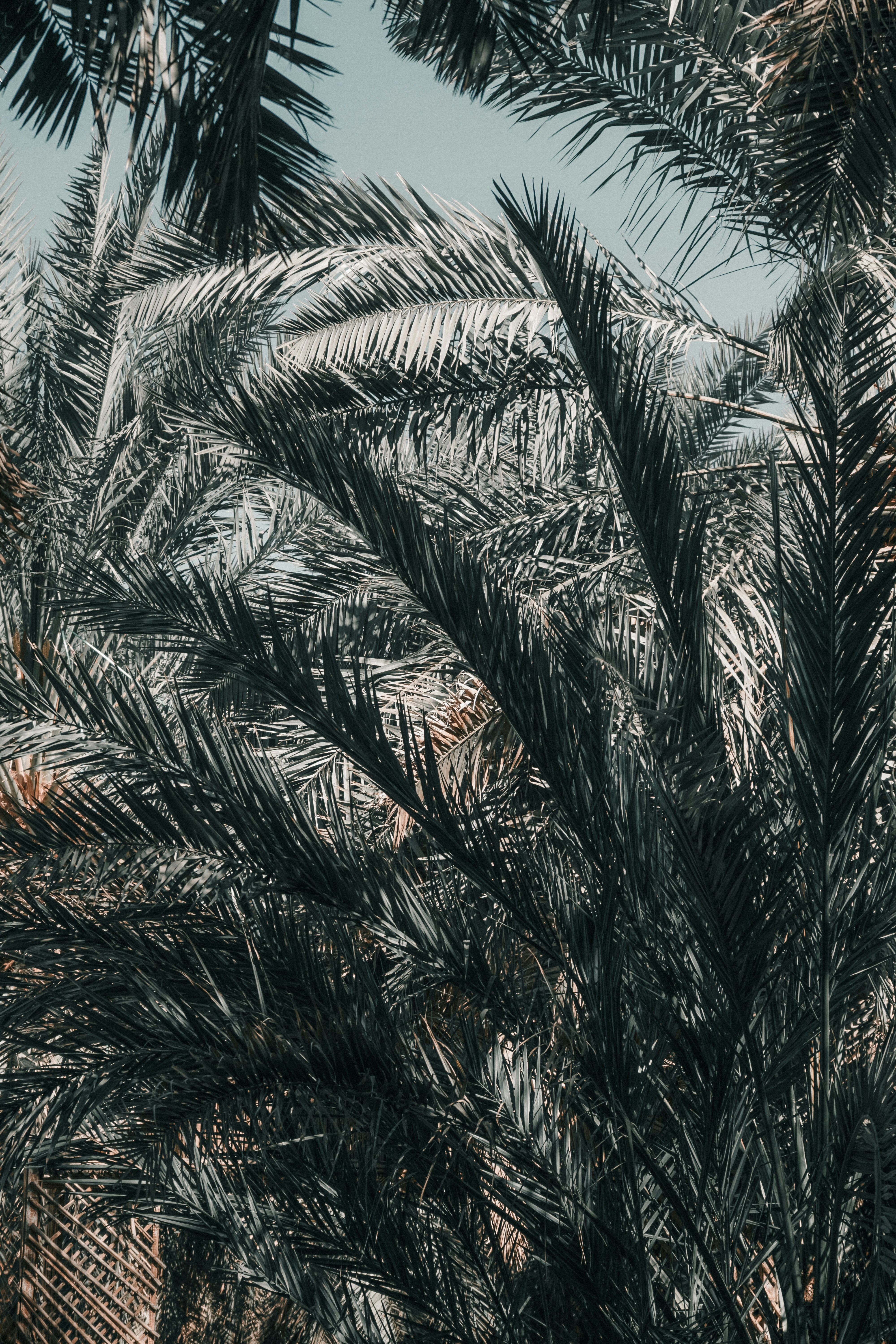 Photo by aseprendi12