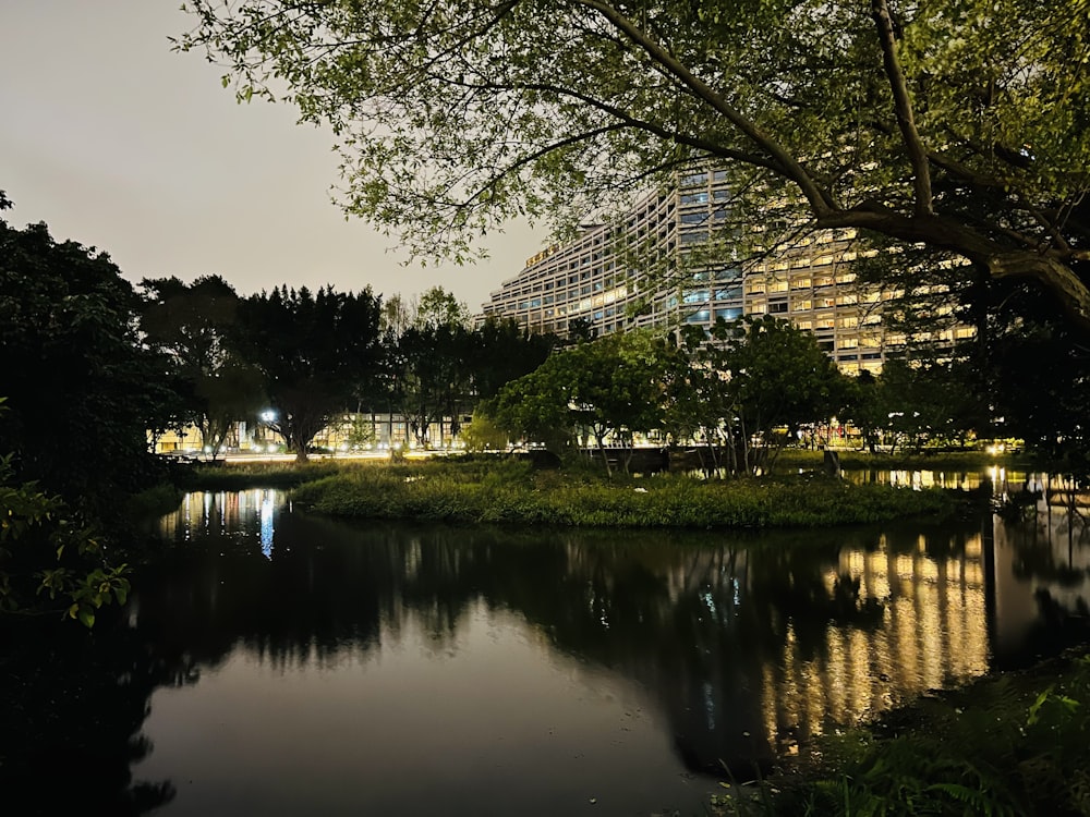 木々や建物に囲まれた水域