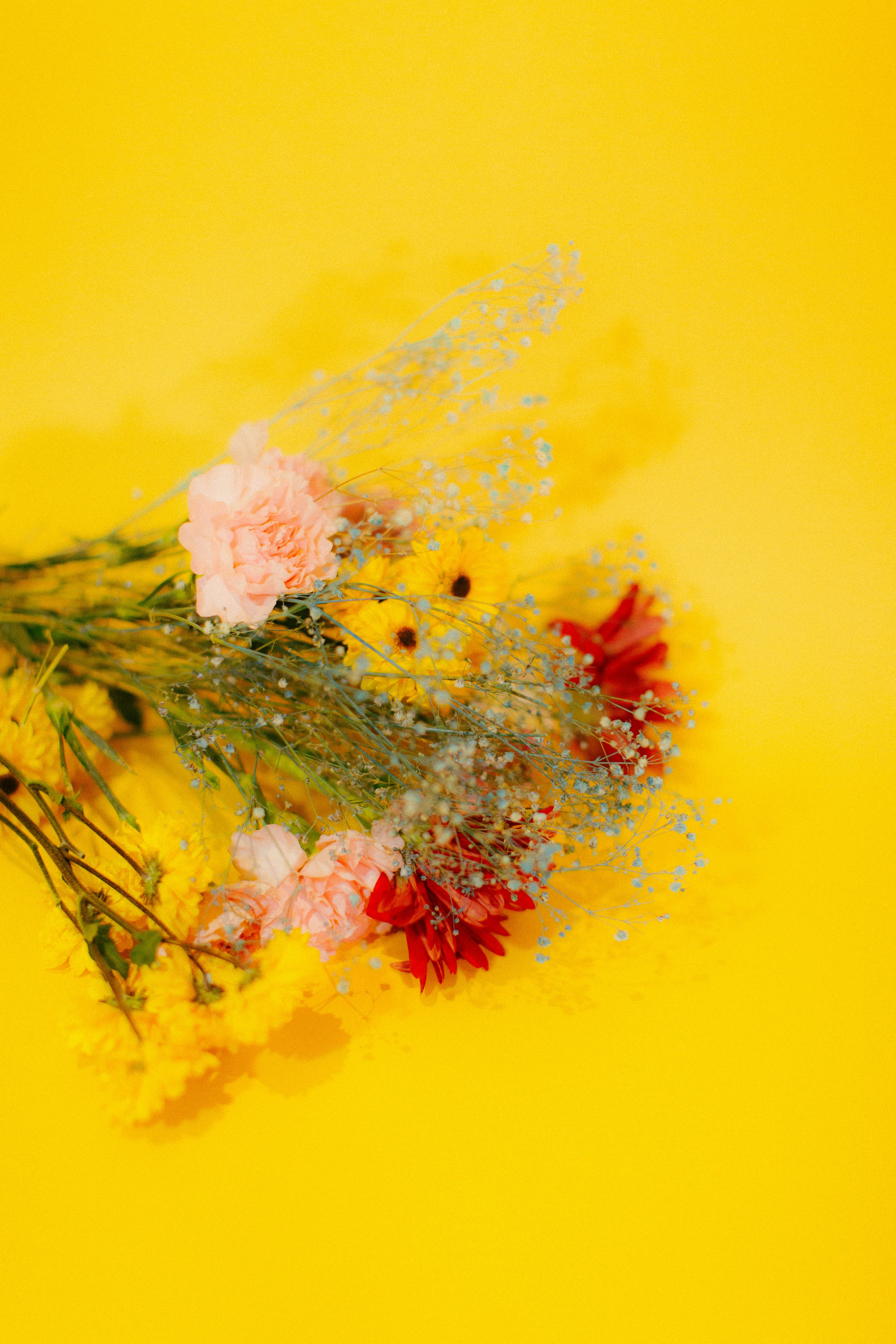 Photo by oscareduardohr