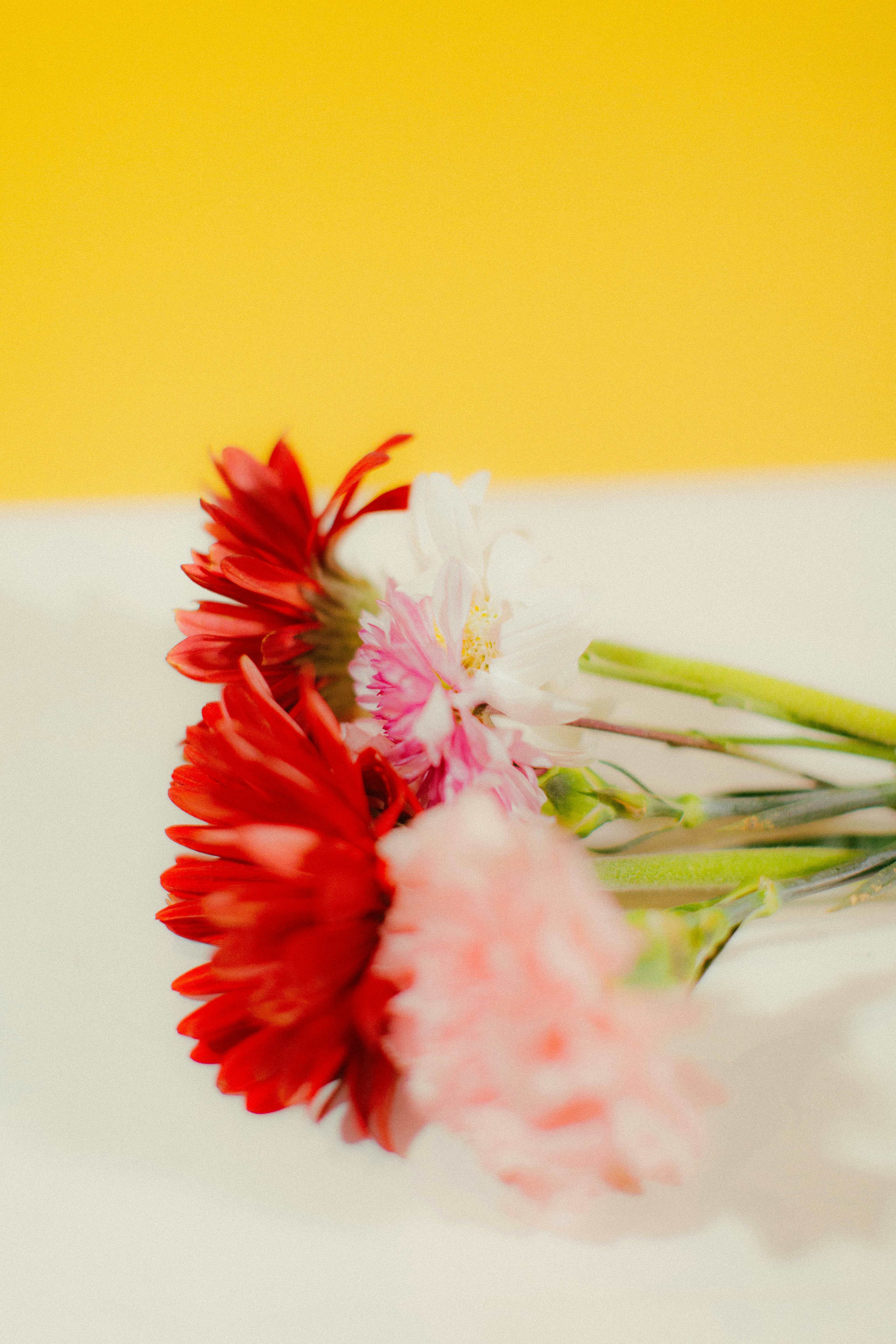 Photo by oscareduardohr