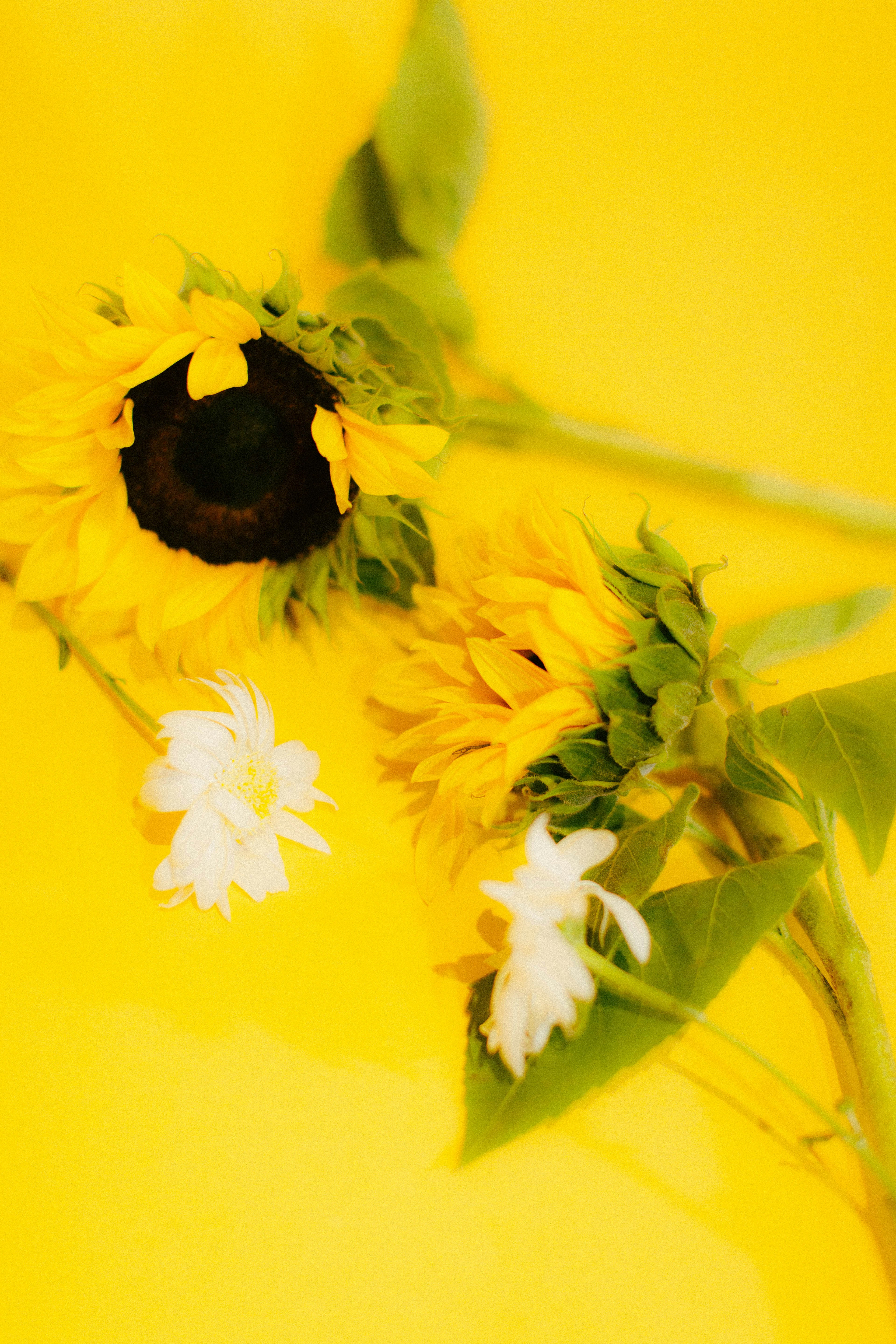 Photo by oscareduardohr