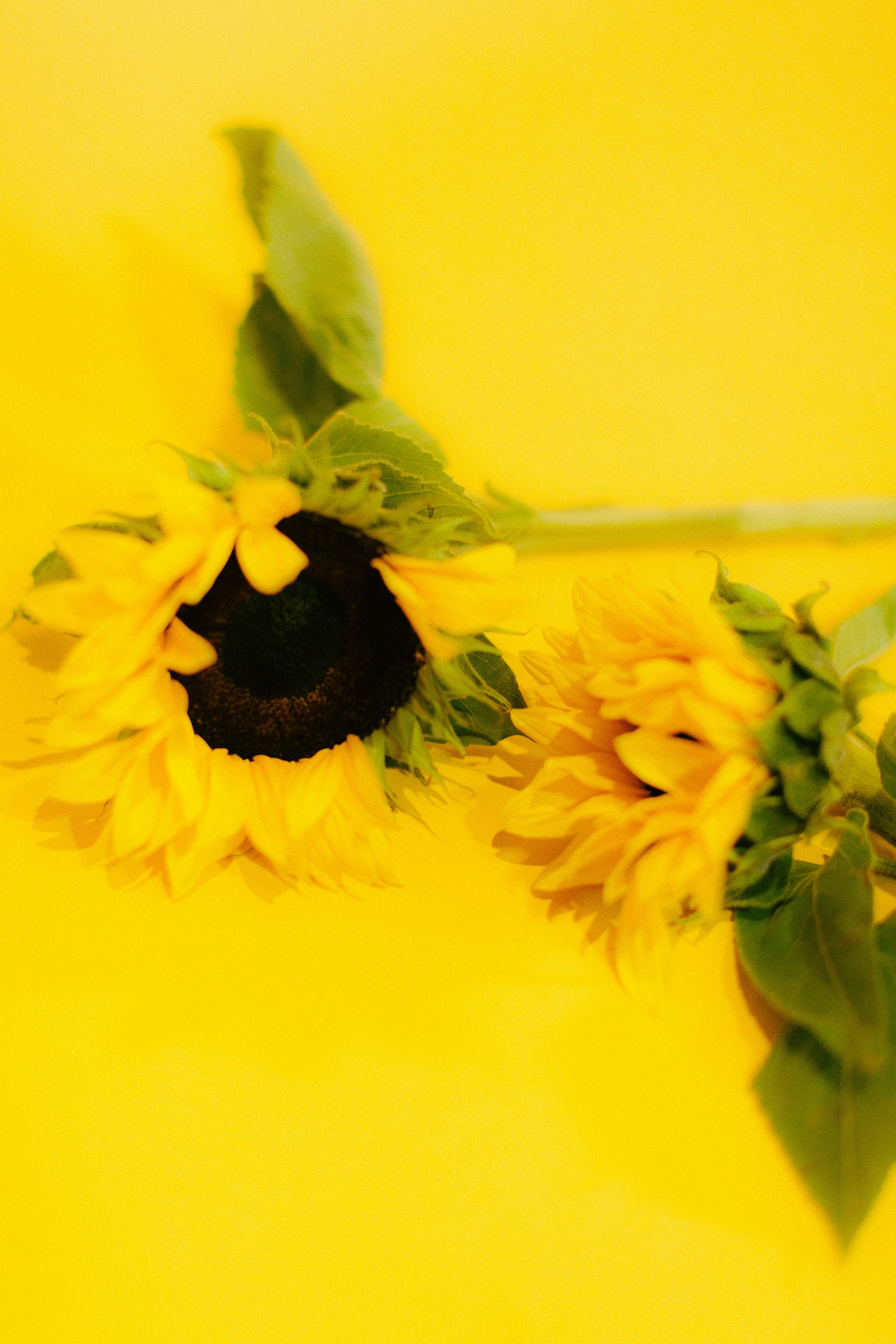 Photo by oscareduardohr