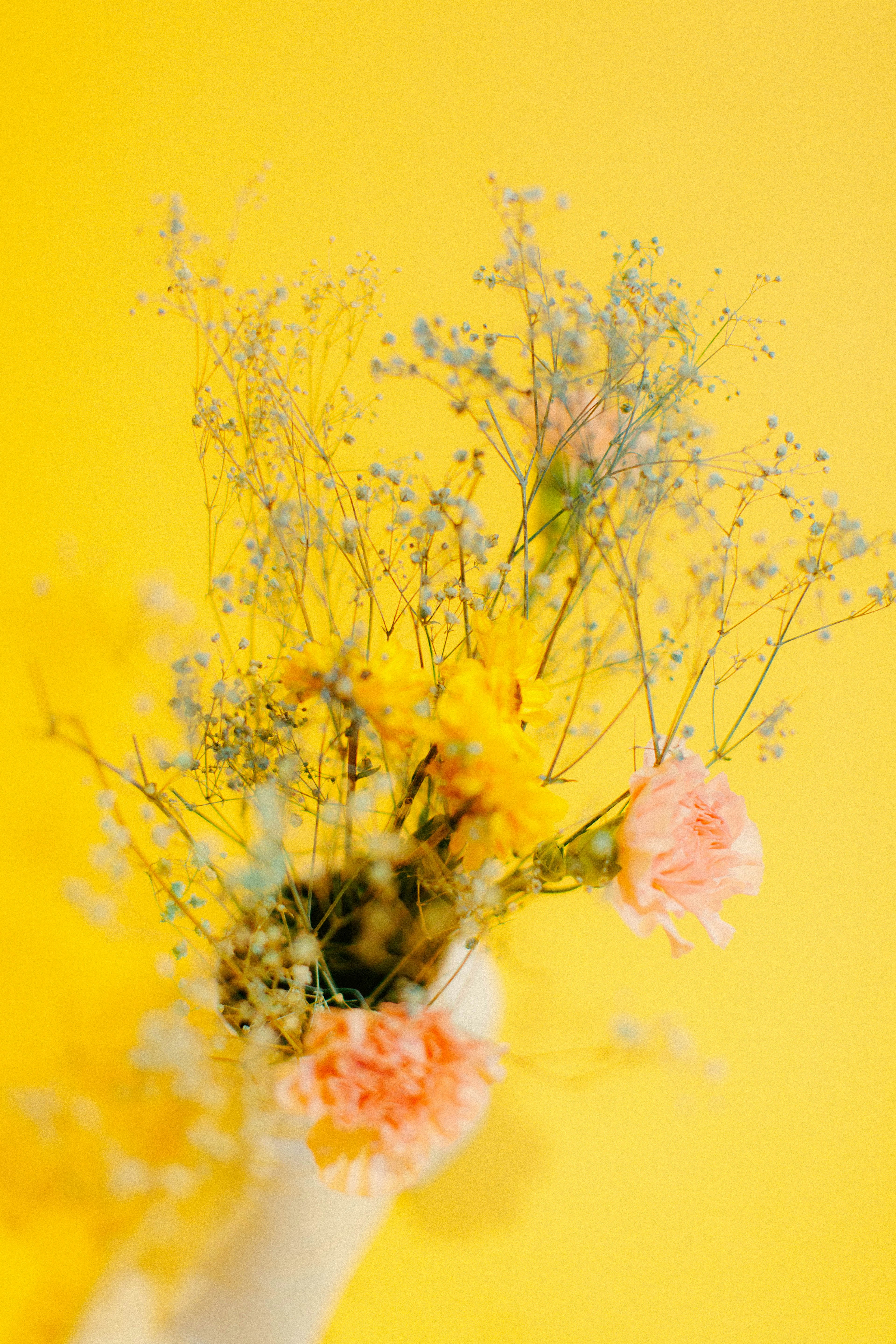 Photo by oscareduardohr