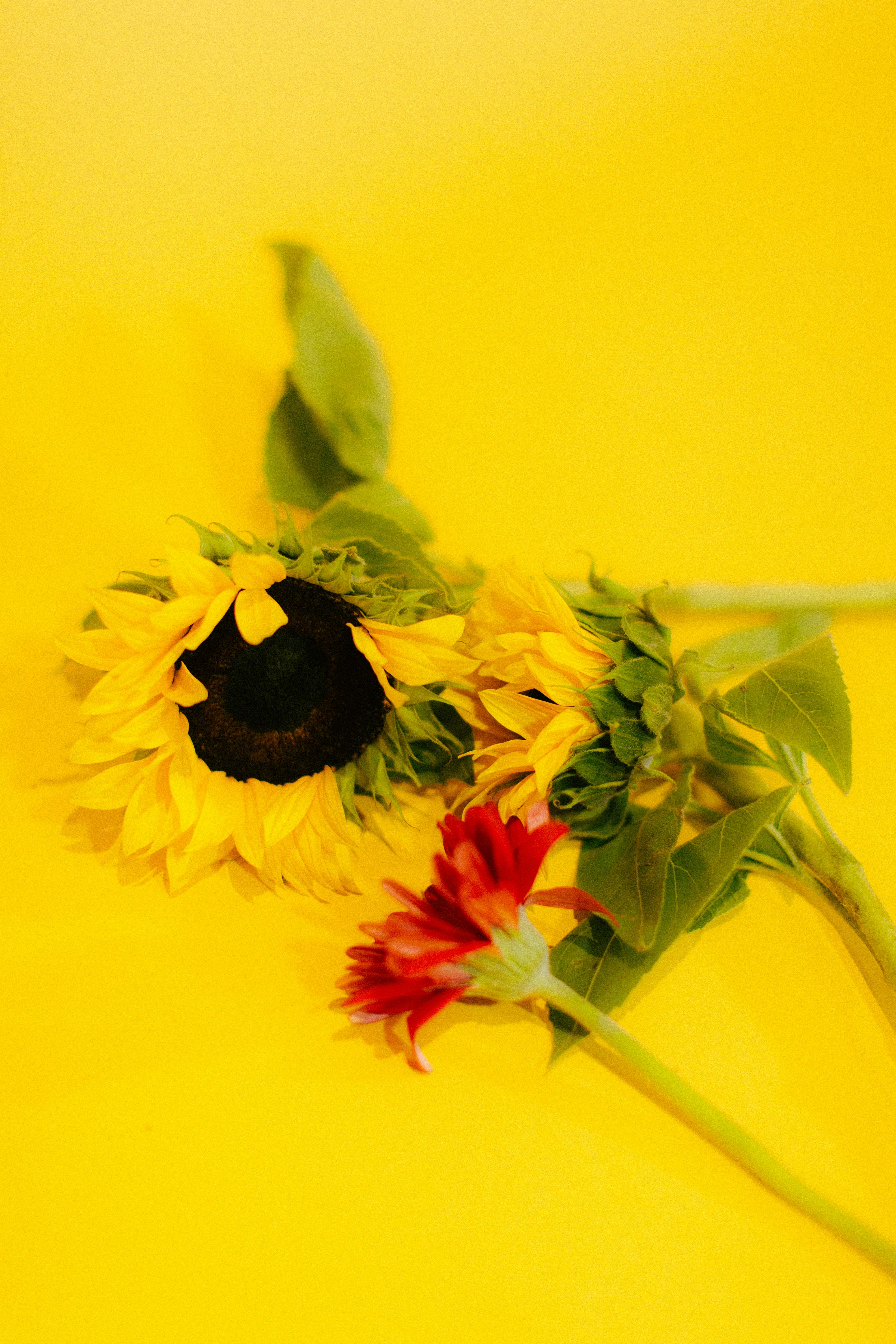 Photo by oscareduardohr