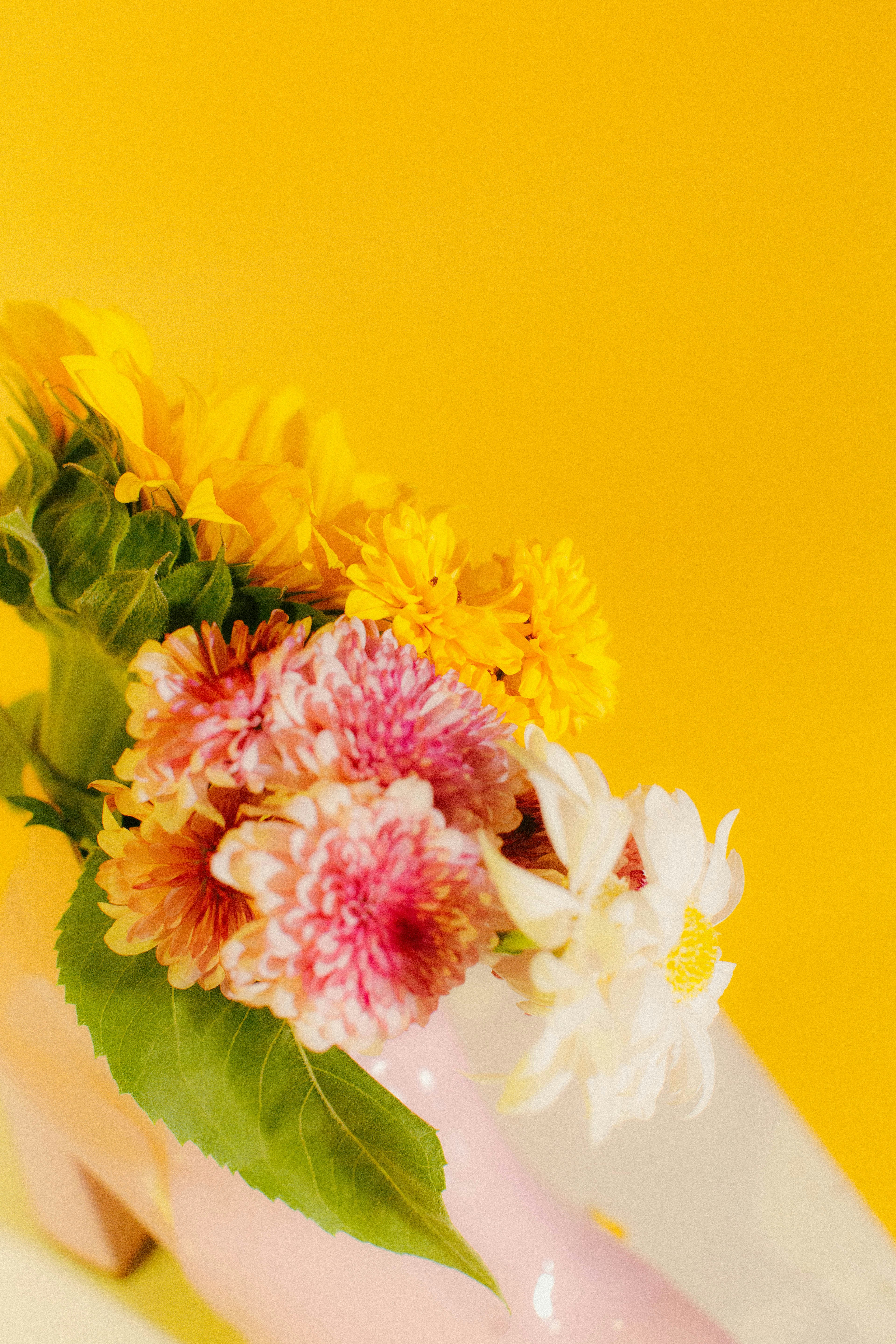 Photo by oscareduardohr